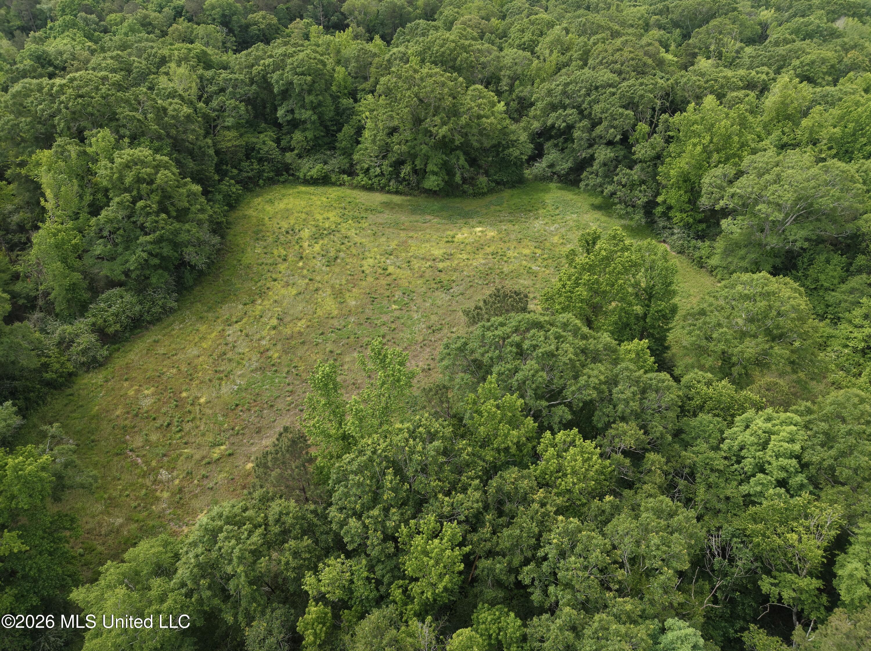 813 Holmesville Road Property Photo 30