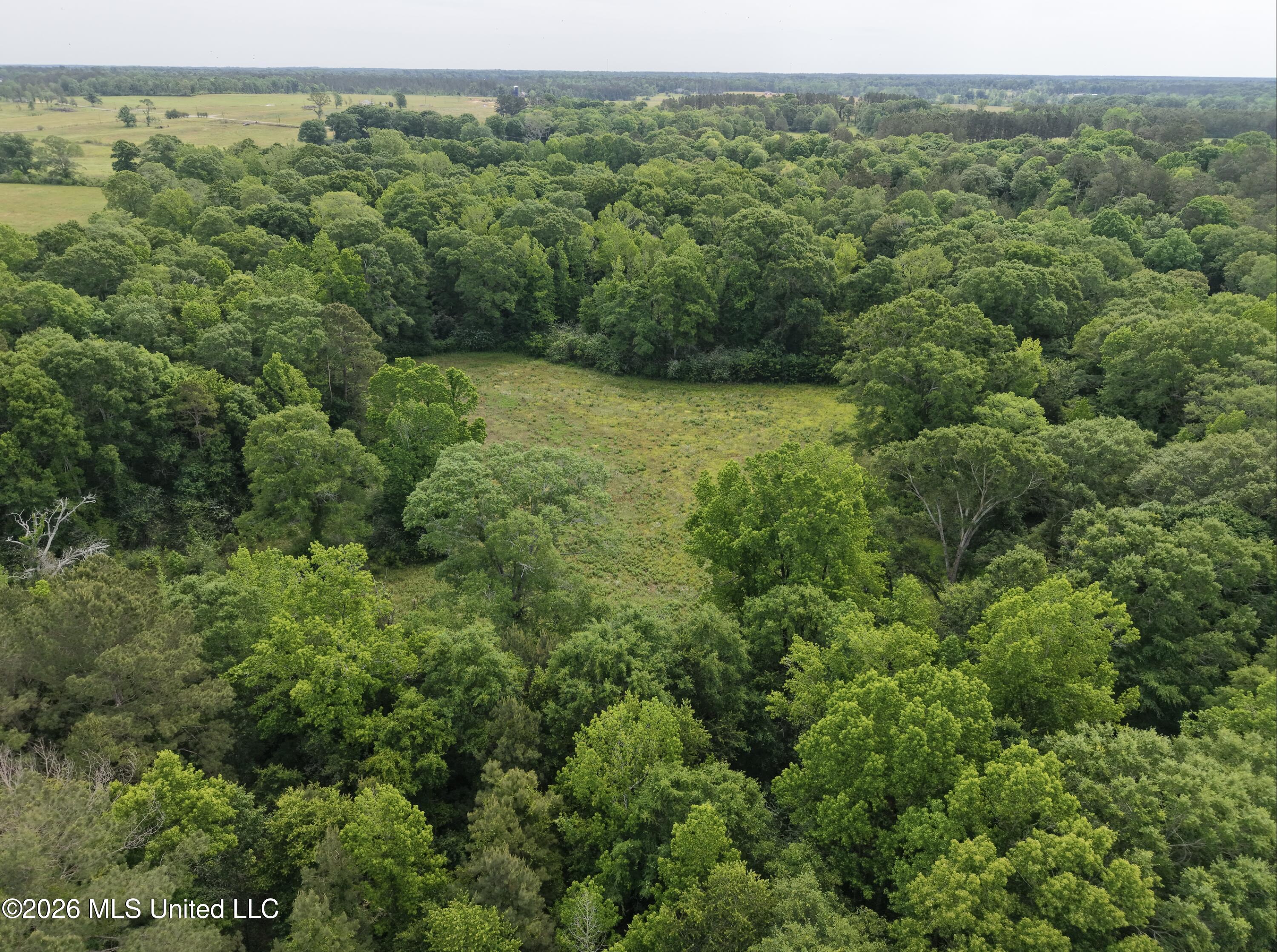 813 Holmesville Road Property Photo 31