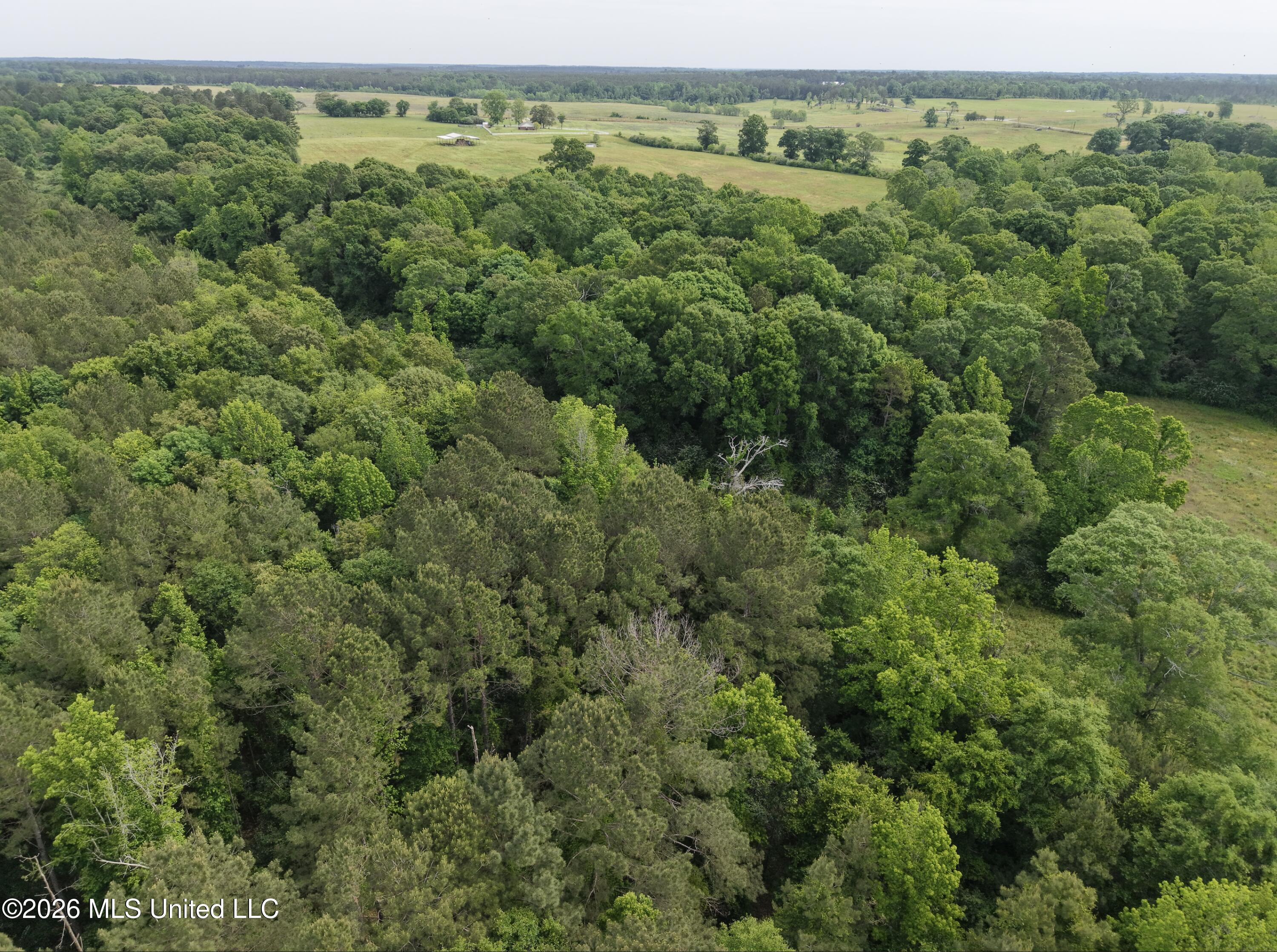 813 Holmesville Road Property Photo 32