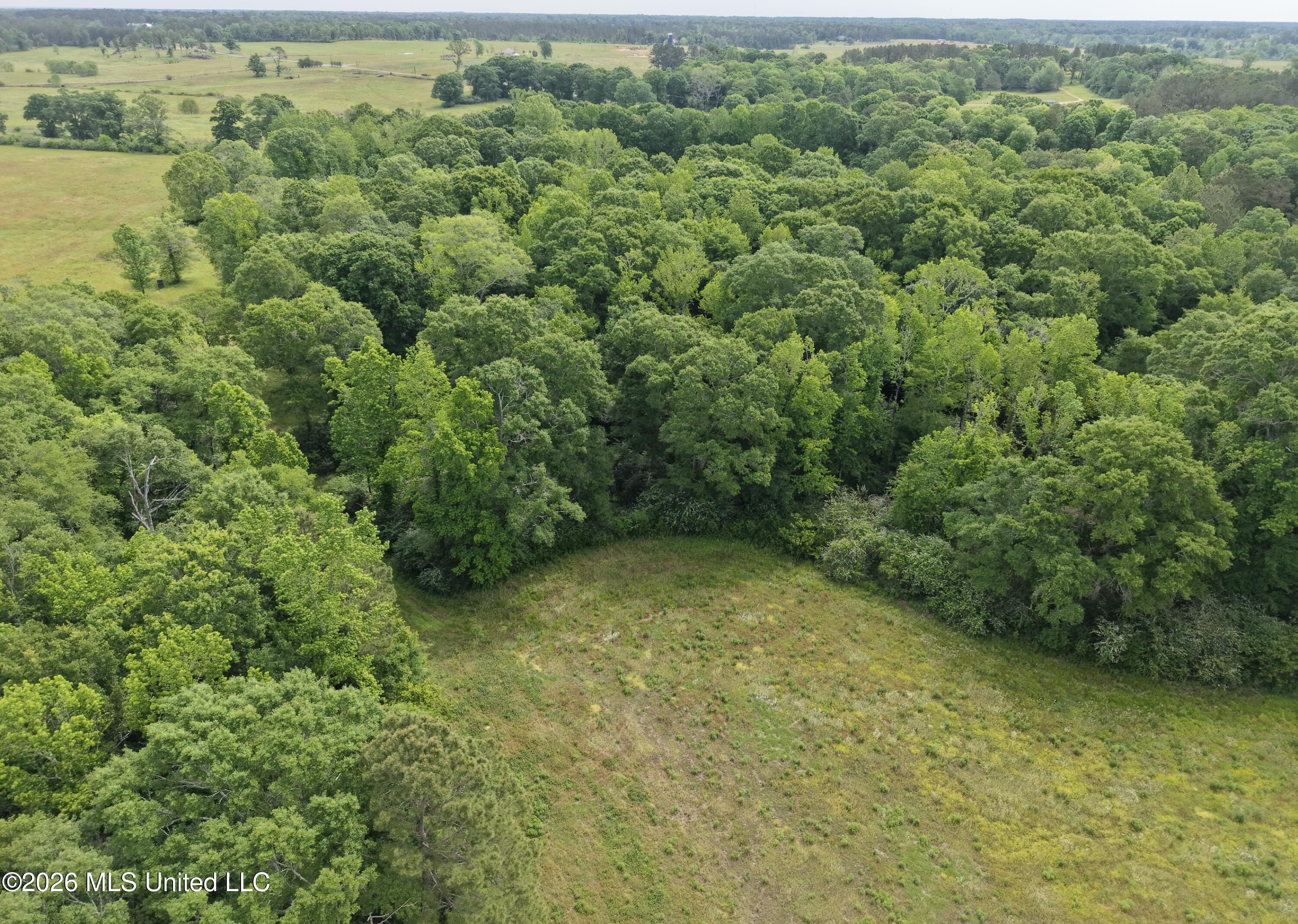 813 Holmesville Road Property Photo 33
