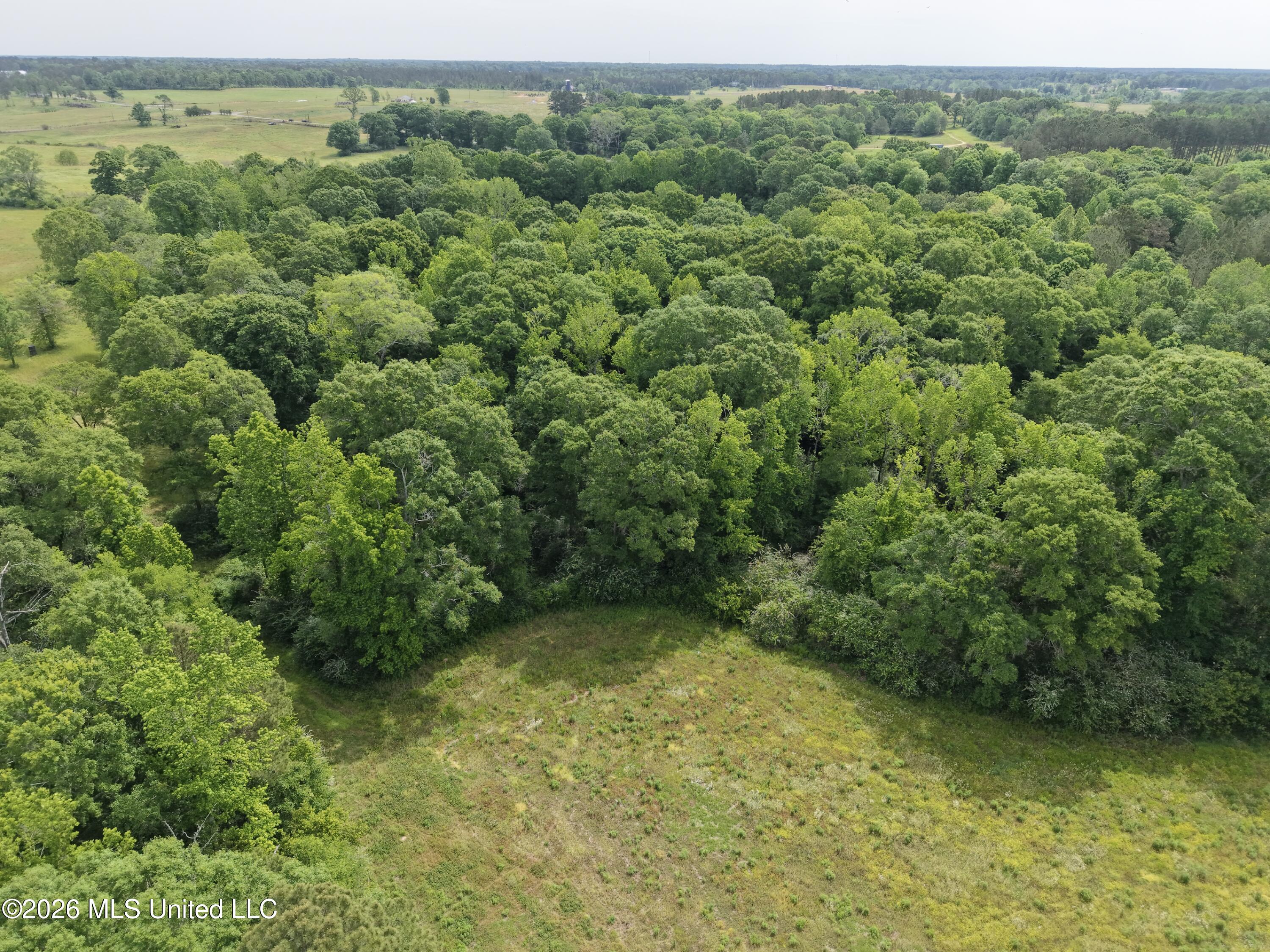 813 Holmesville Road Property Photo 34