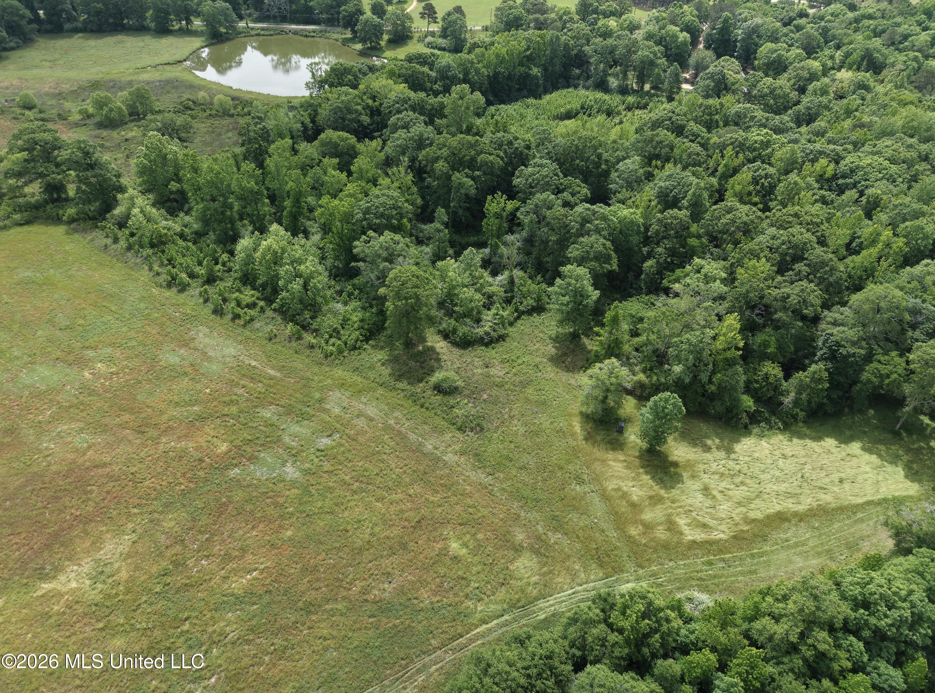 813 Holmesville Road Property Photo 45