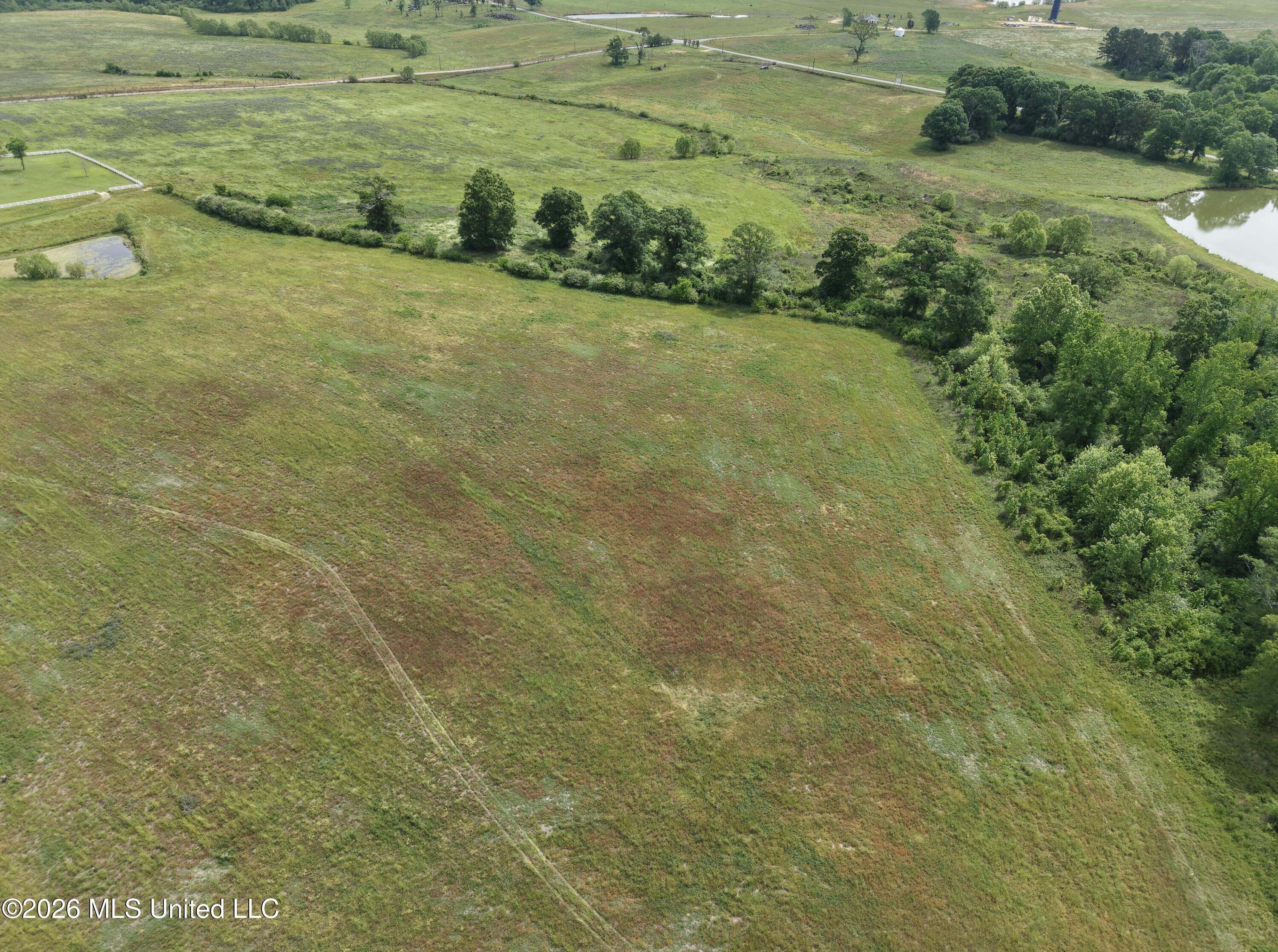 813 Holmesville Road Property Photo 46