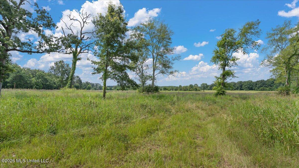 0 Us-80 Property Photo 5