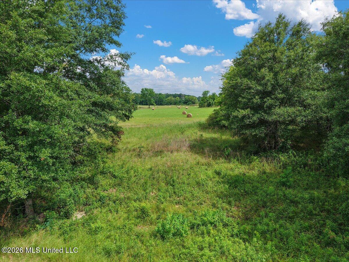 0 Us-80 Property Photo 12