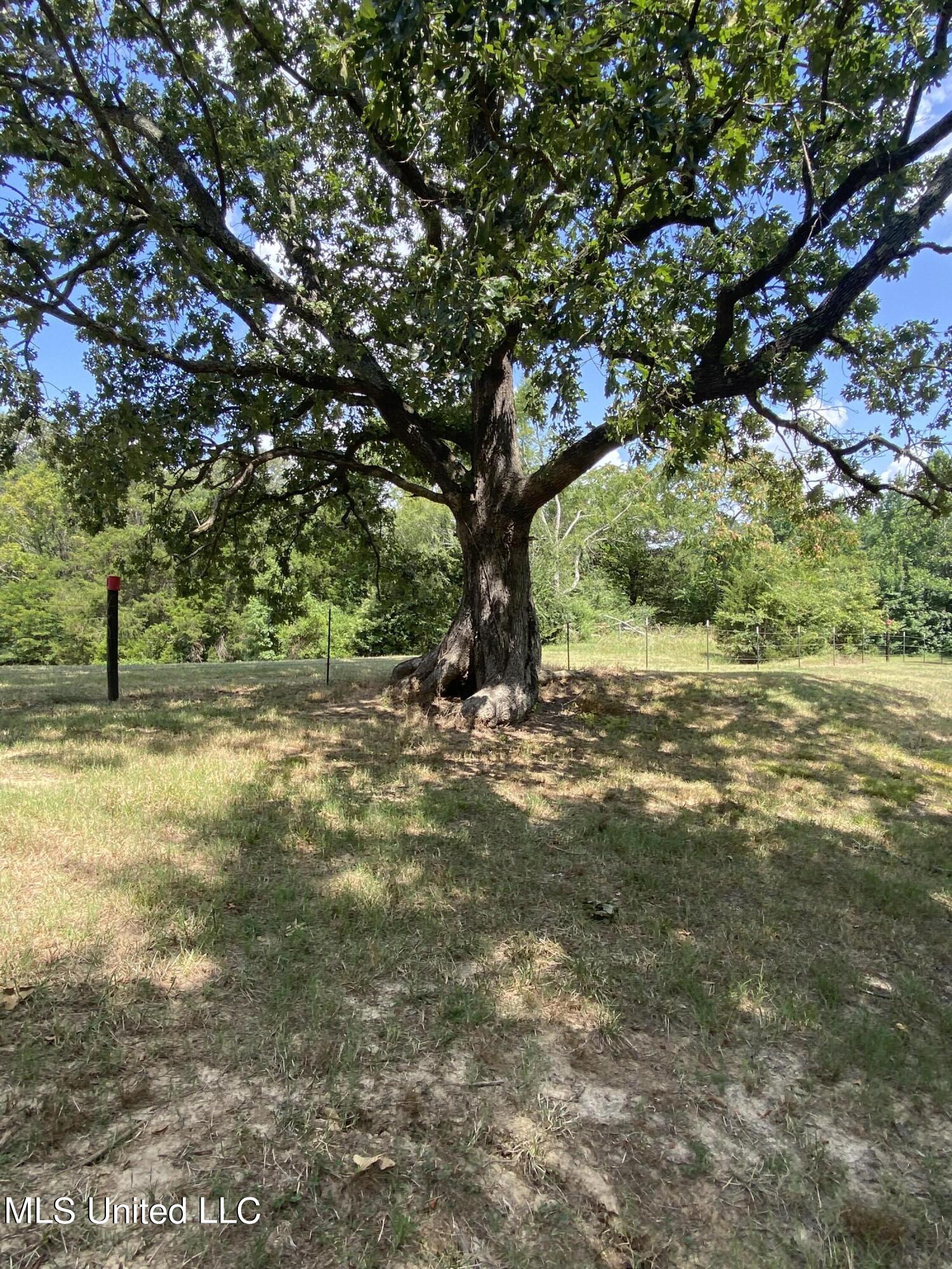 0 Hunters Walk Cove Property Photo 10