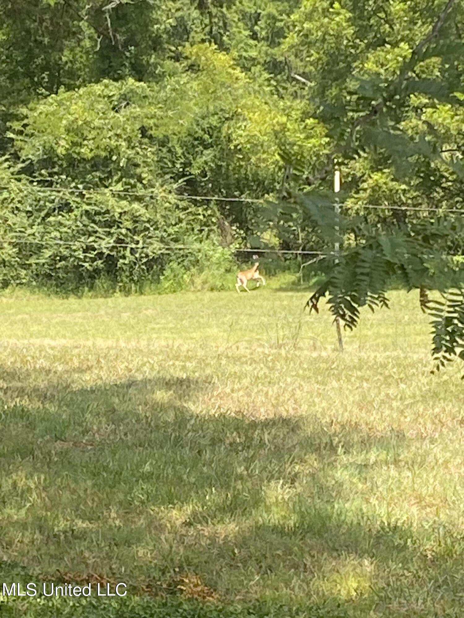 0 Hunters Walk Cove Property Photo 17