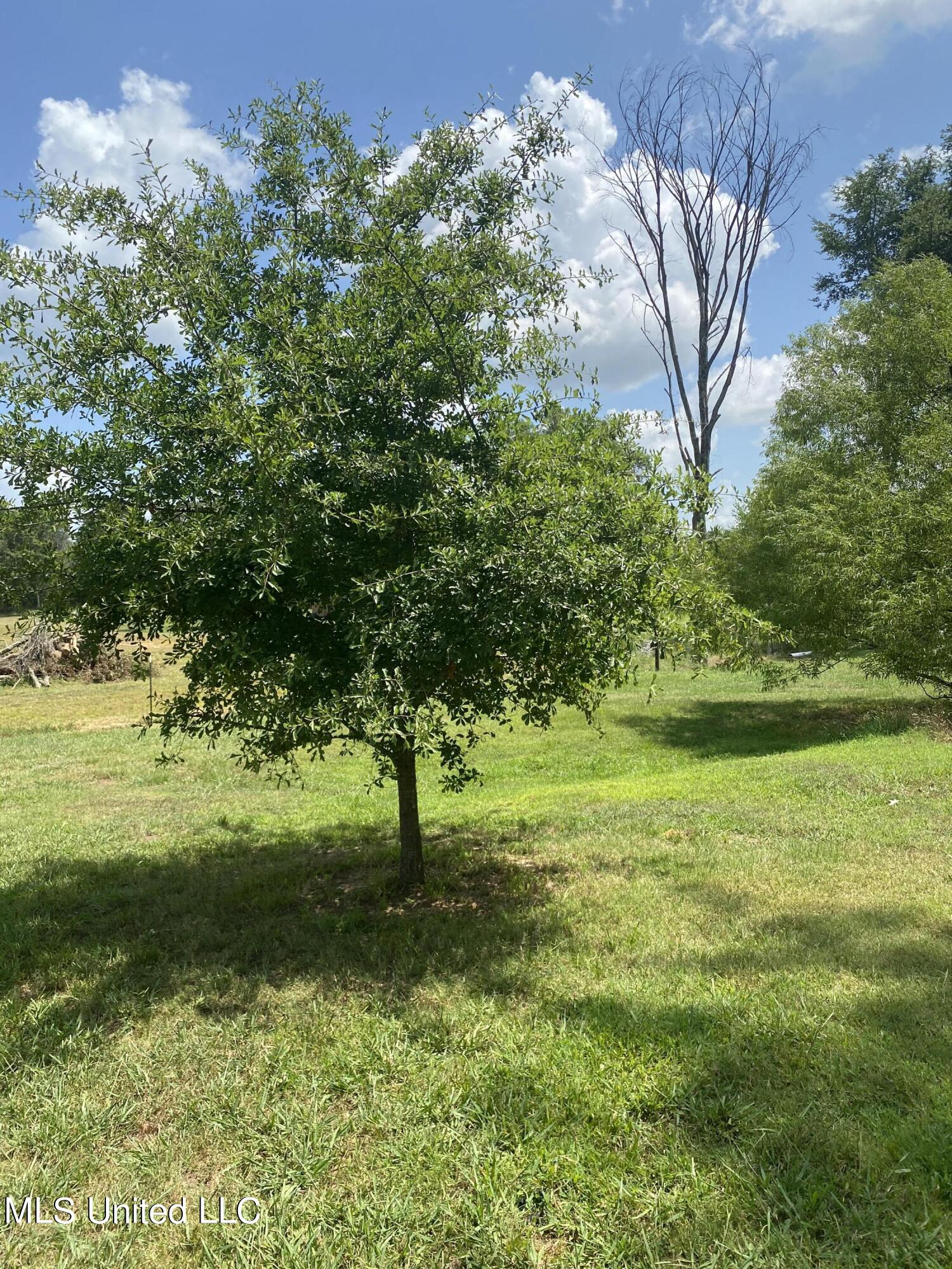 0 Hunters Walk Cove Property Photo 21