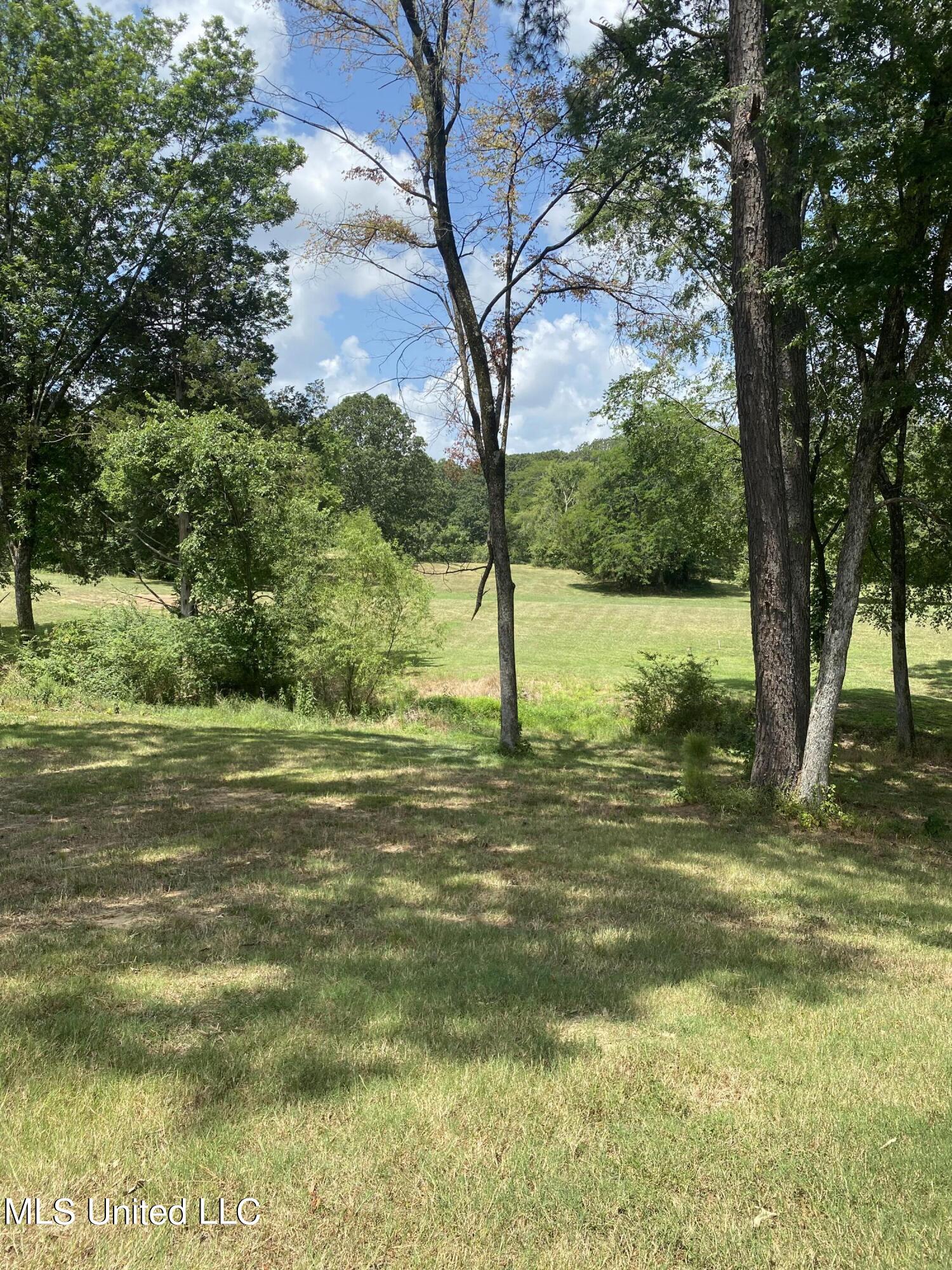 0 Hunters Walk Cove Property Photo 22