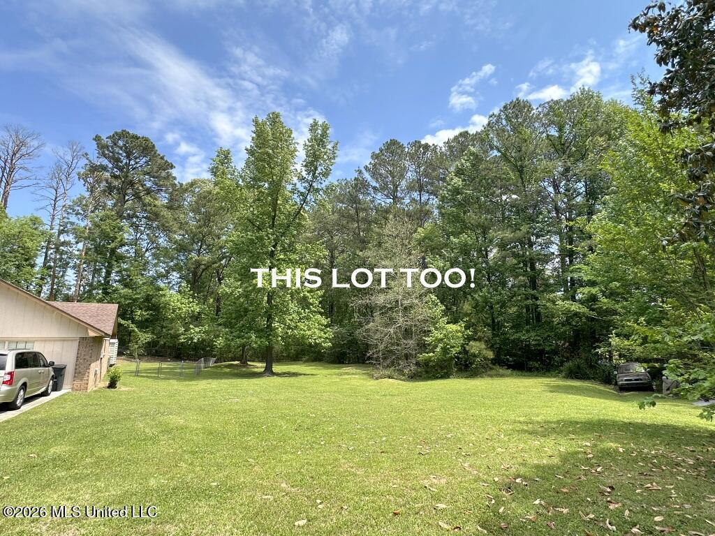 232 Forest Valley Drive Property Photo 13