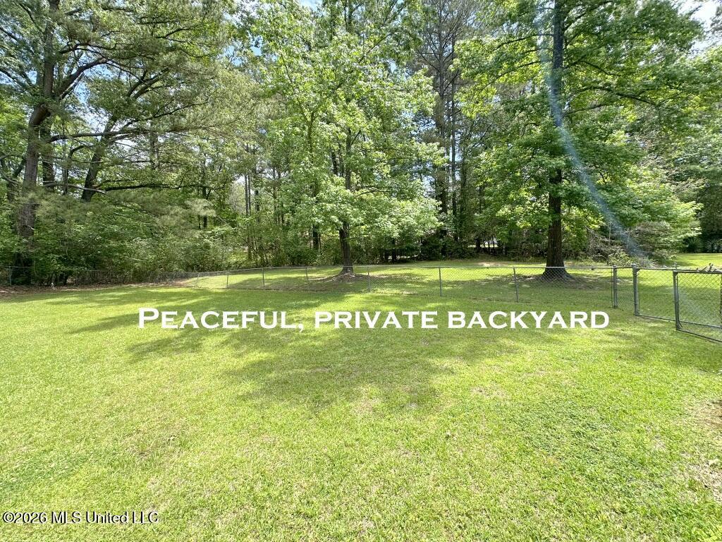 232 Forest Valley Drive Property Photo 22