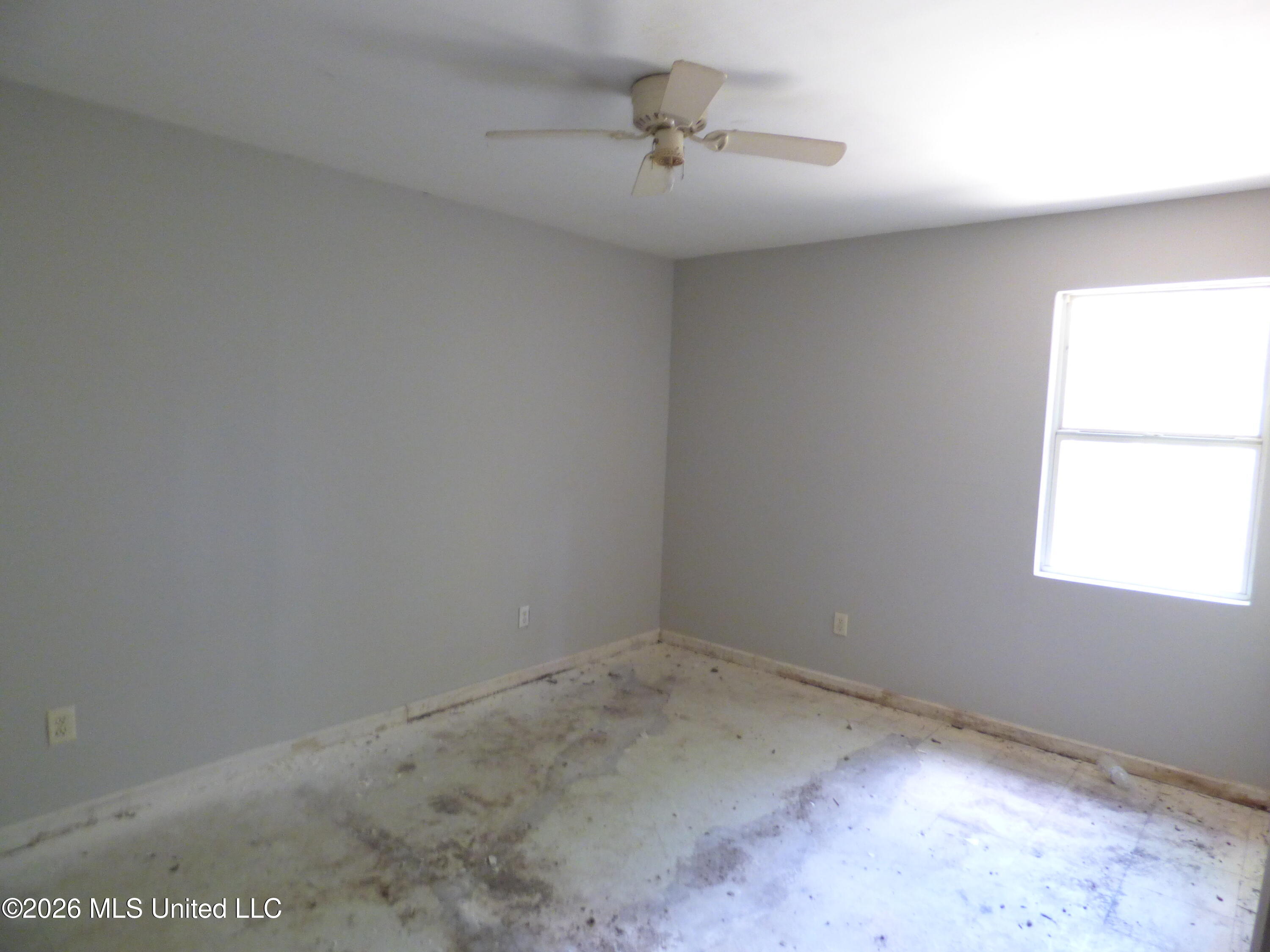 321 Saint Augustine Property Photo 6