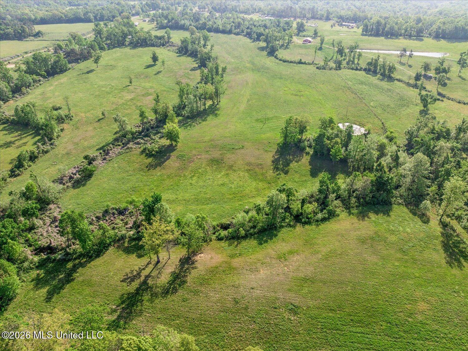 454 Laws Hill Road Property Photo 47