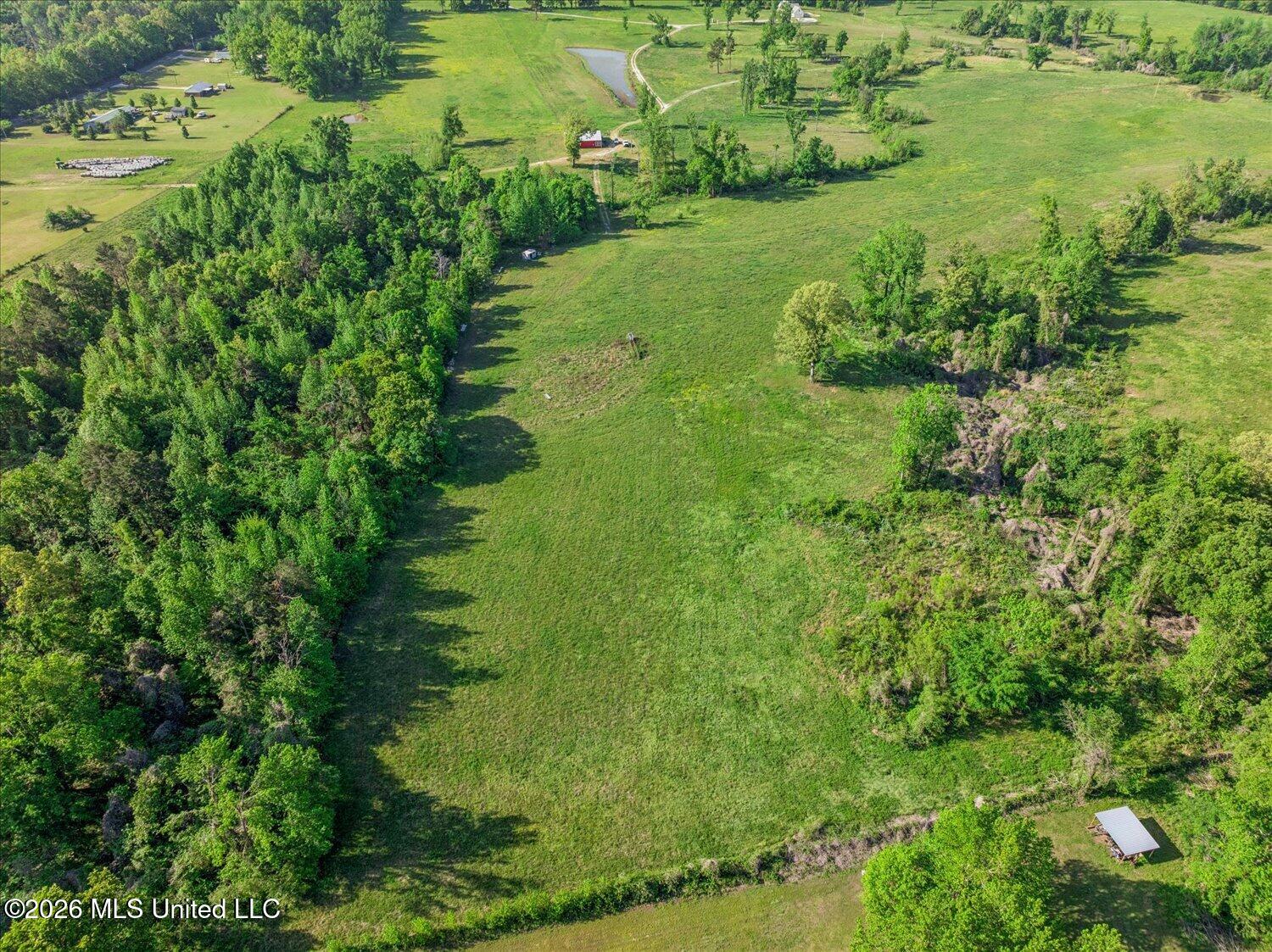 454 Laws Hill Road Property Photo 51