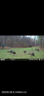 5133 Antioch Road Property Photo 12