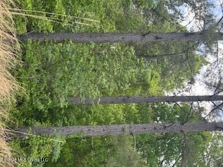 5133 Antioch Road Property Photo 34