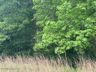 5133 Antioch Road Property Photo 55