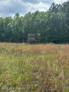 5133 Antioch Road Property Photo 62