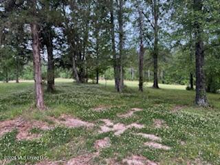 5133 Antioch Road Property Photo 65