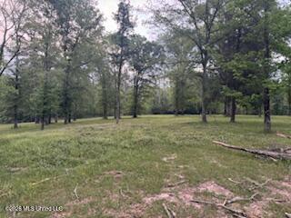 5133 Antioch Road Property Photo 66