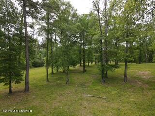 5133 Antioch Road Property Photo 74