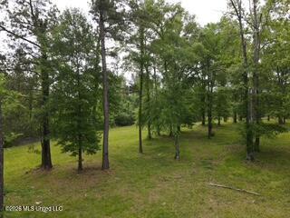 5133 Antioch Road Property Photo 75