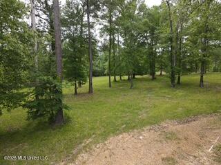 5133 Antioch Road Property Photo 76