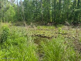 5133 Antioch Road Property Photo 79