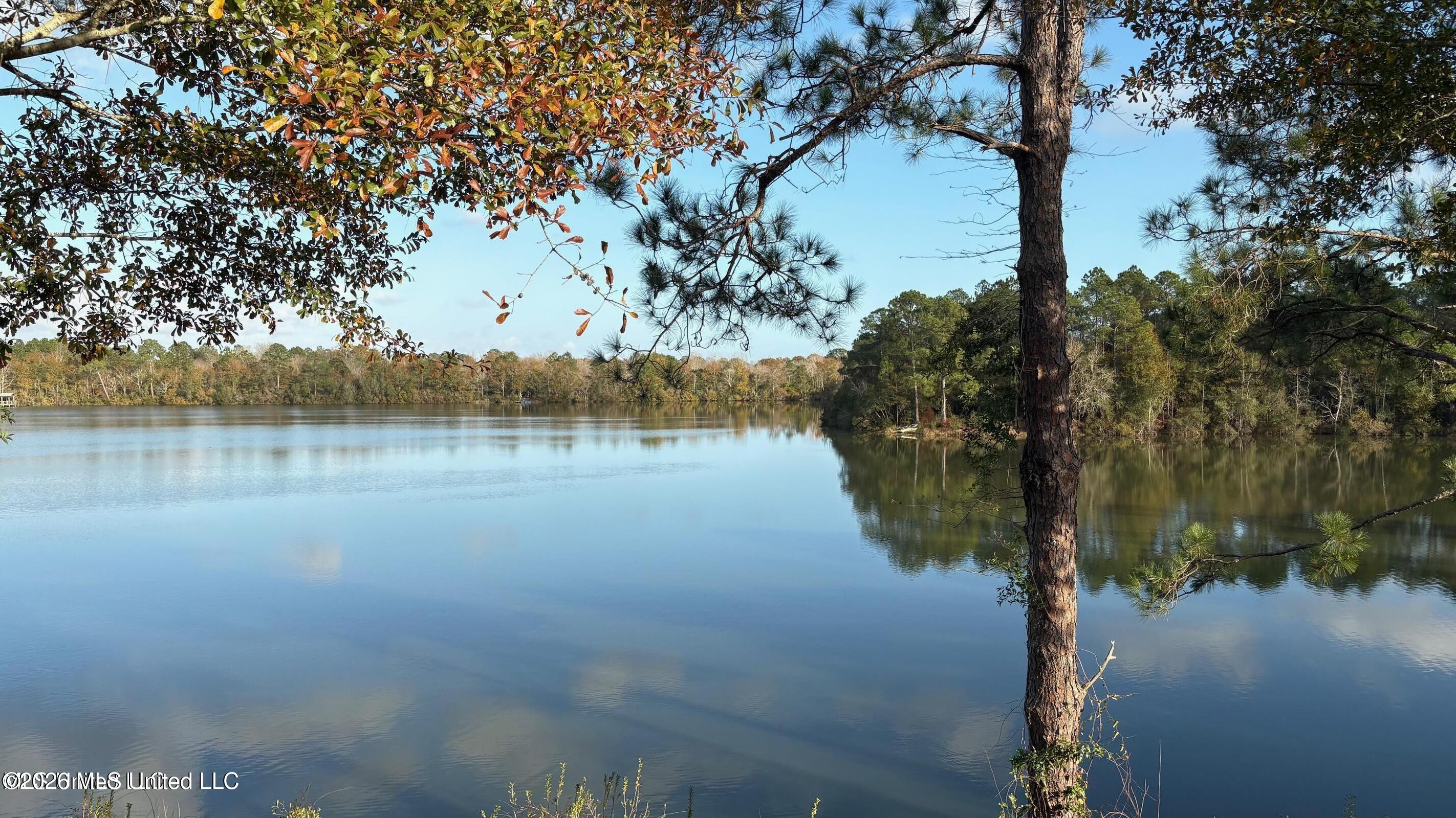 11021 Alphabet Road Property Photo 49