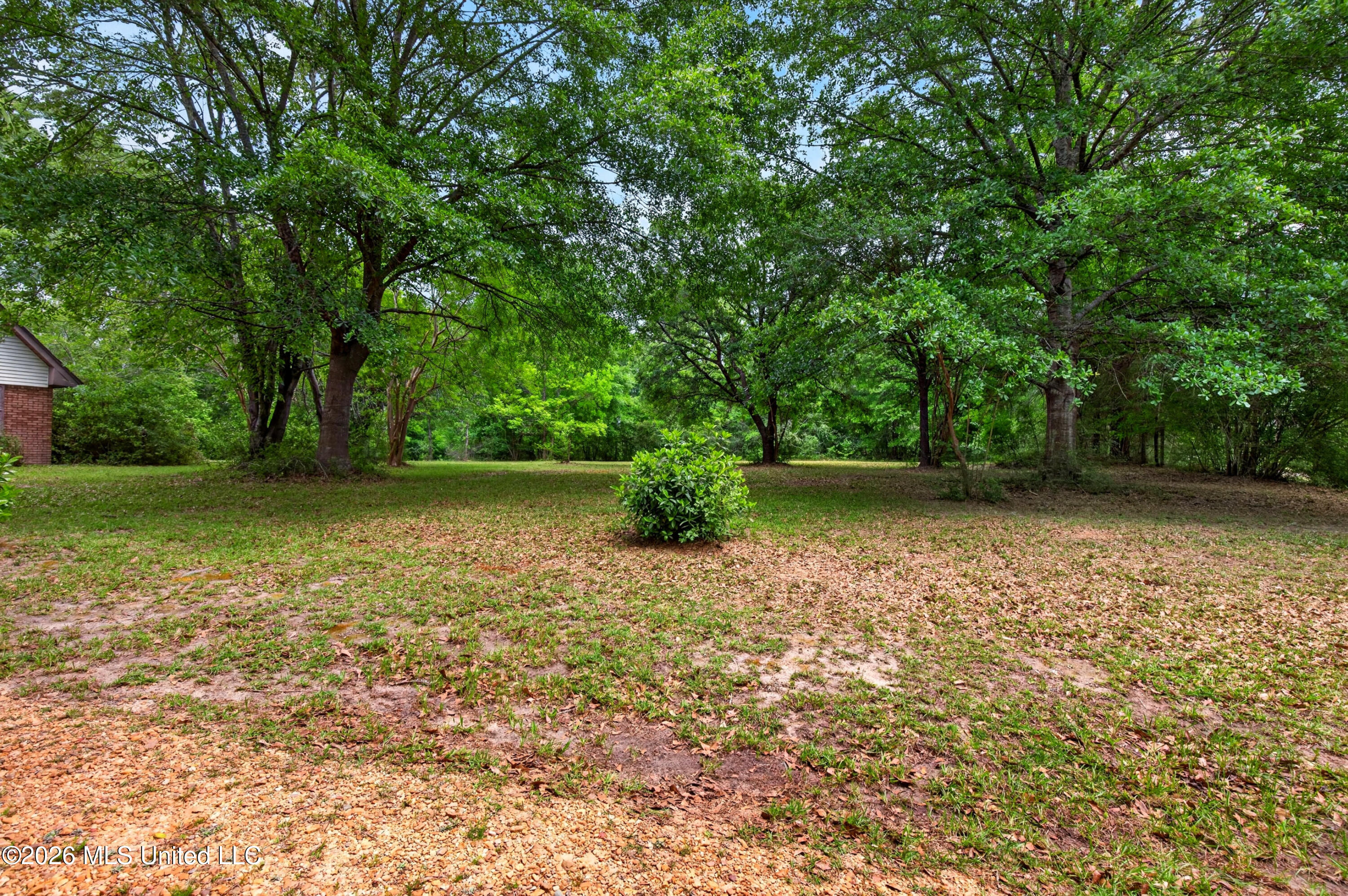 303 Varnado Avenue Property Photo 4