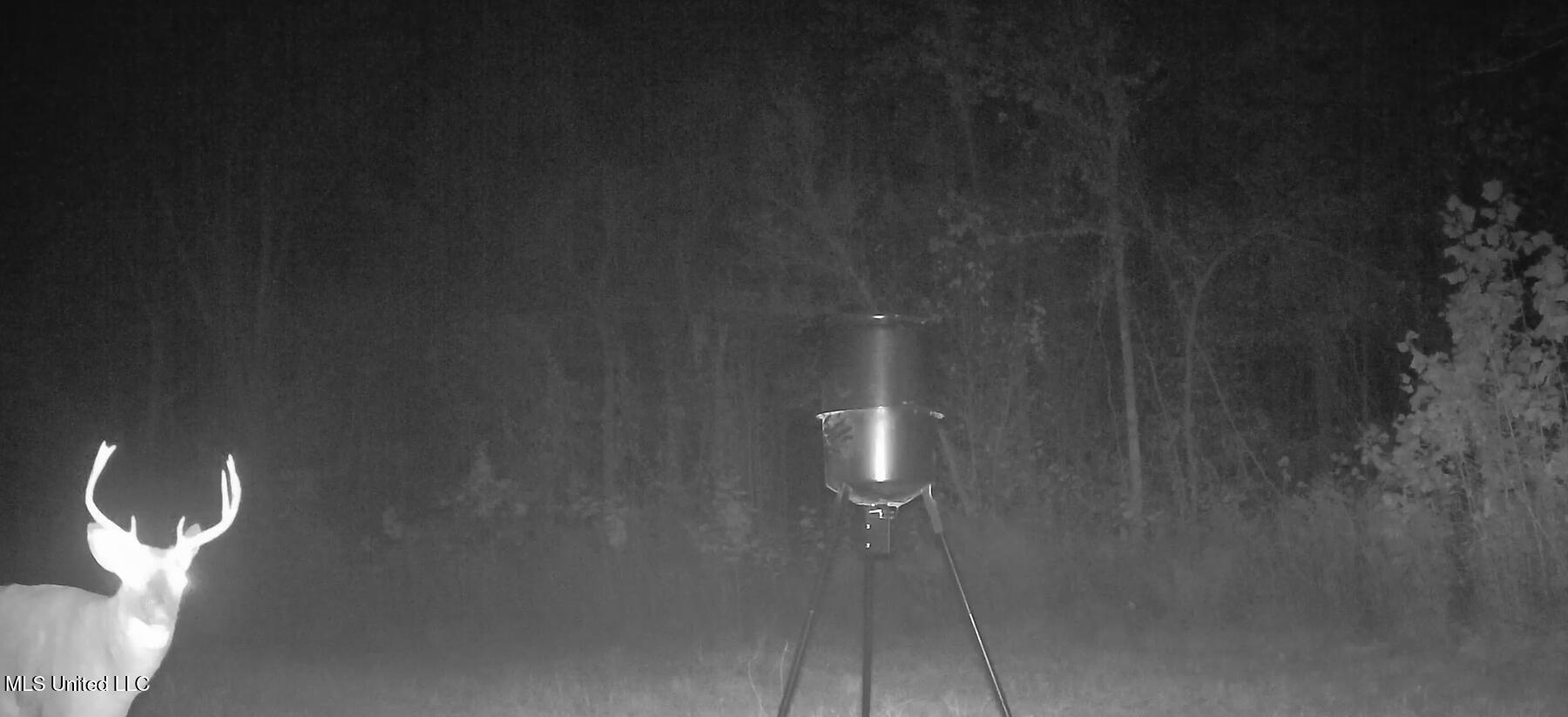 106 Crockrell Road Property Photo 9