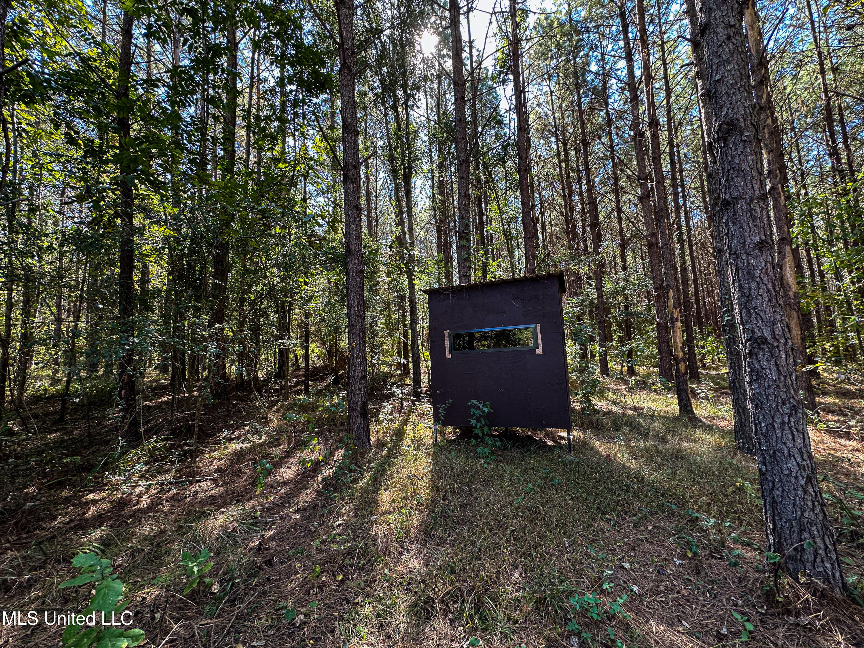 106 Crockrell Road Property Photo 12