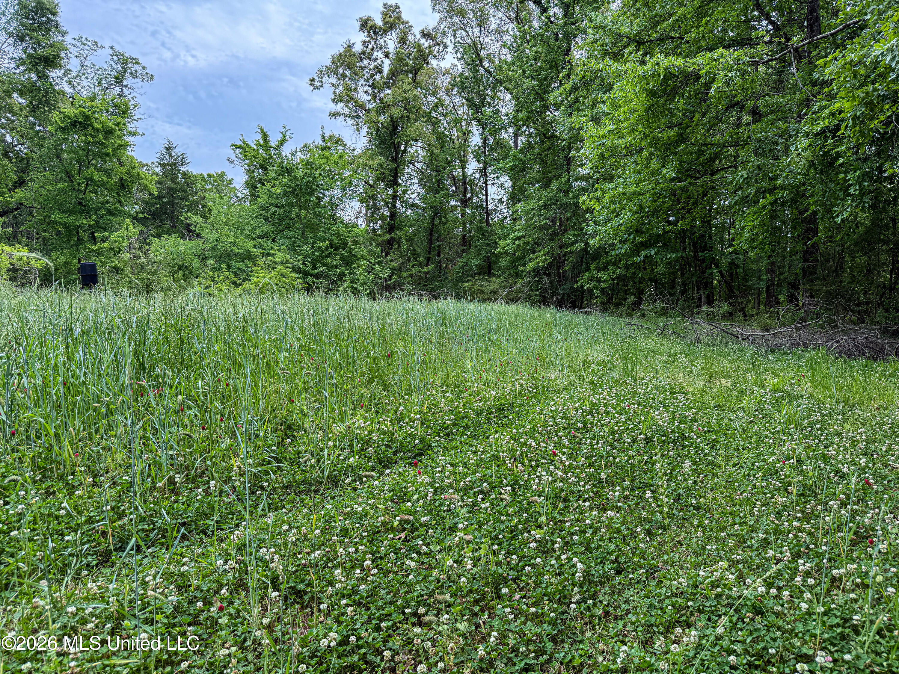 106 Crockrell Road Property Photo 16