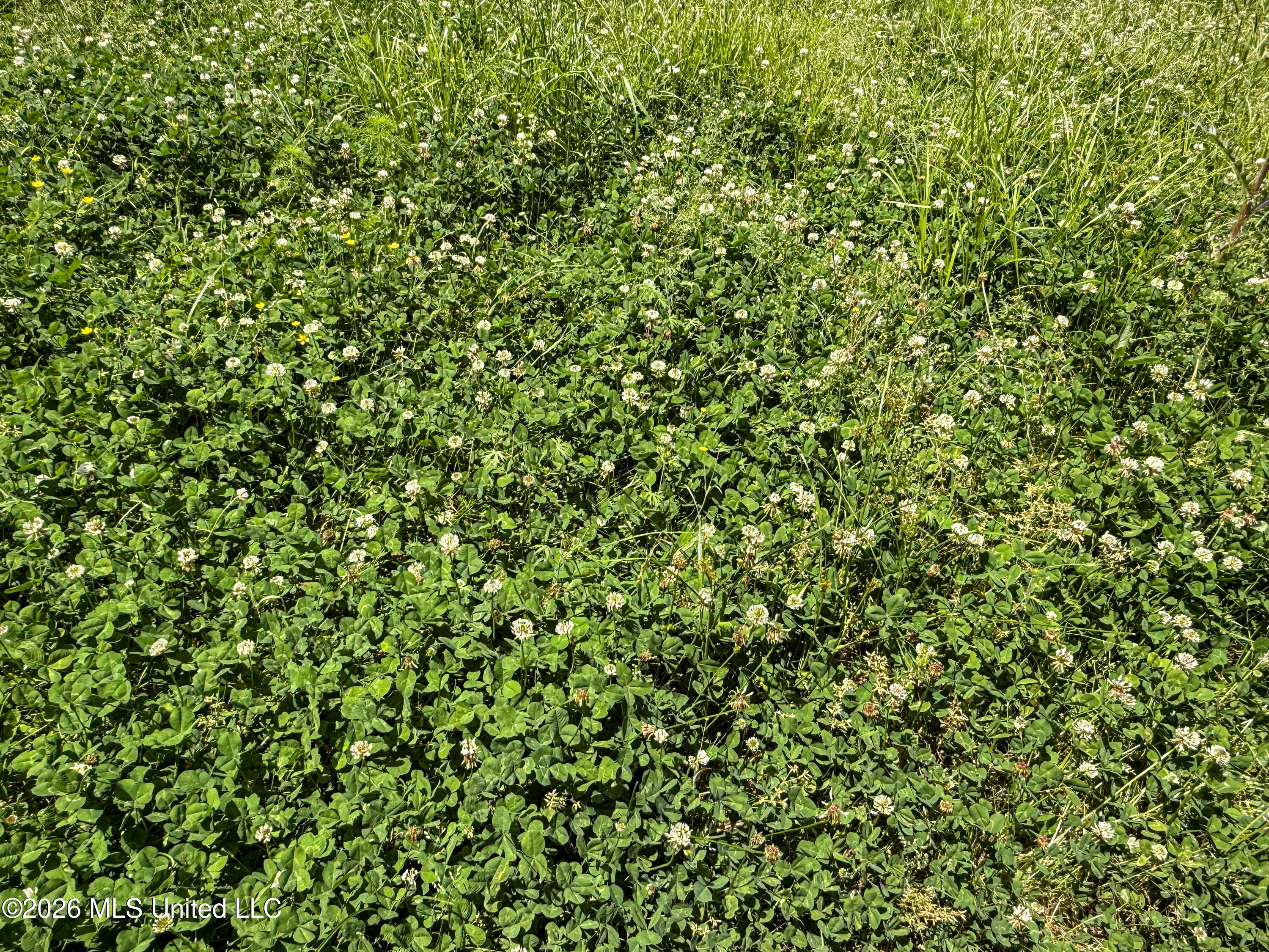 106 Crockrell Road Property Photo 19