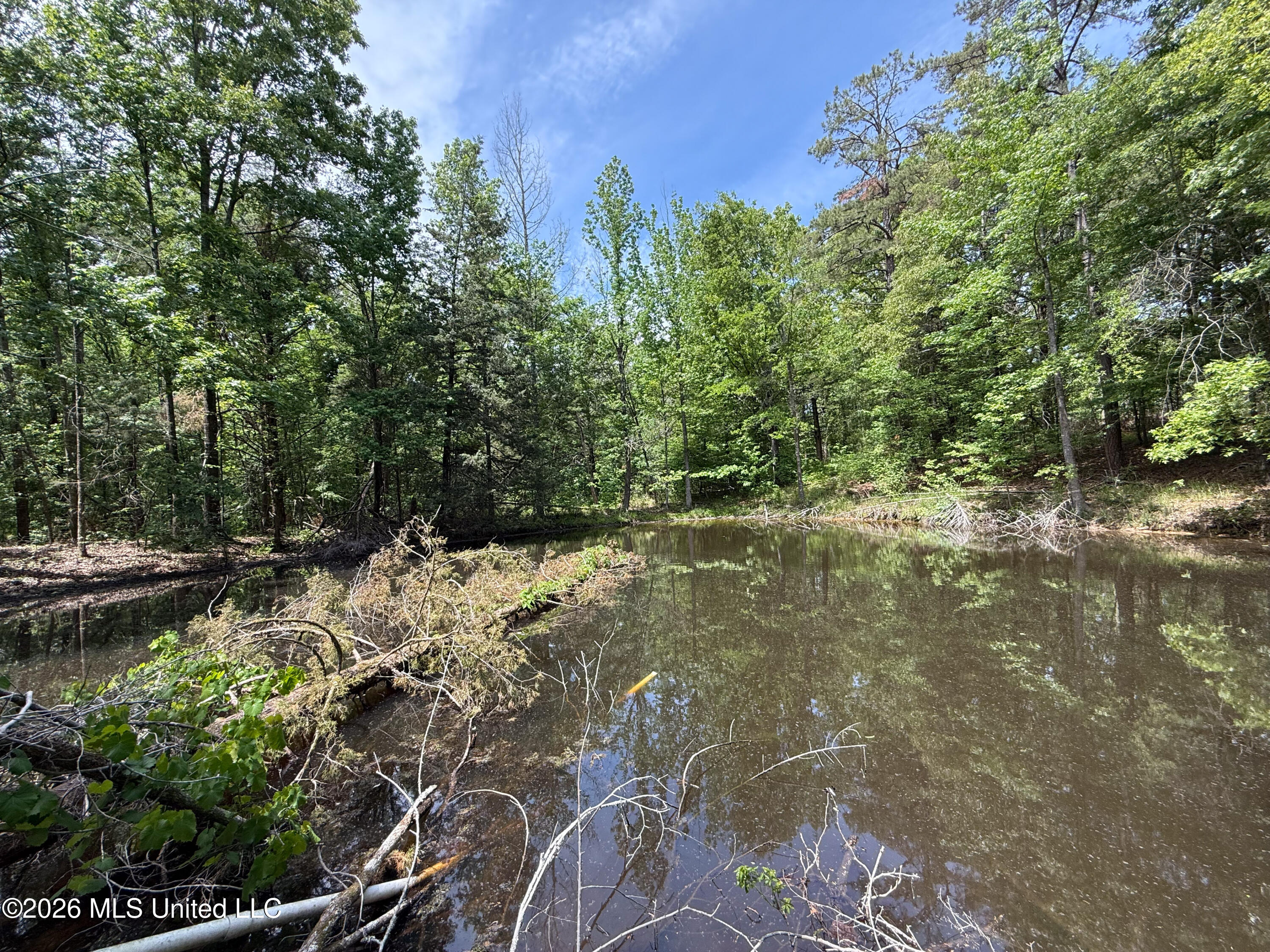 106 Crockrell Road Property Photo 24
