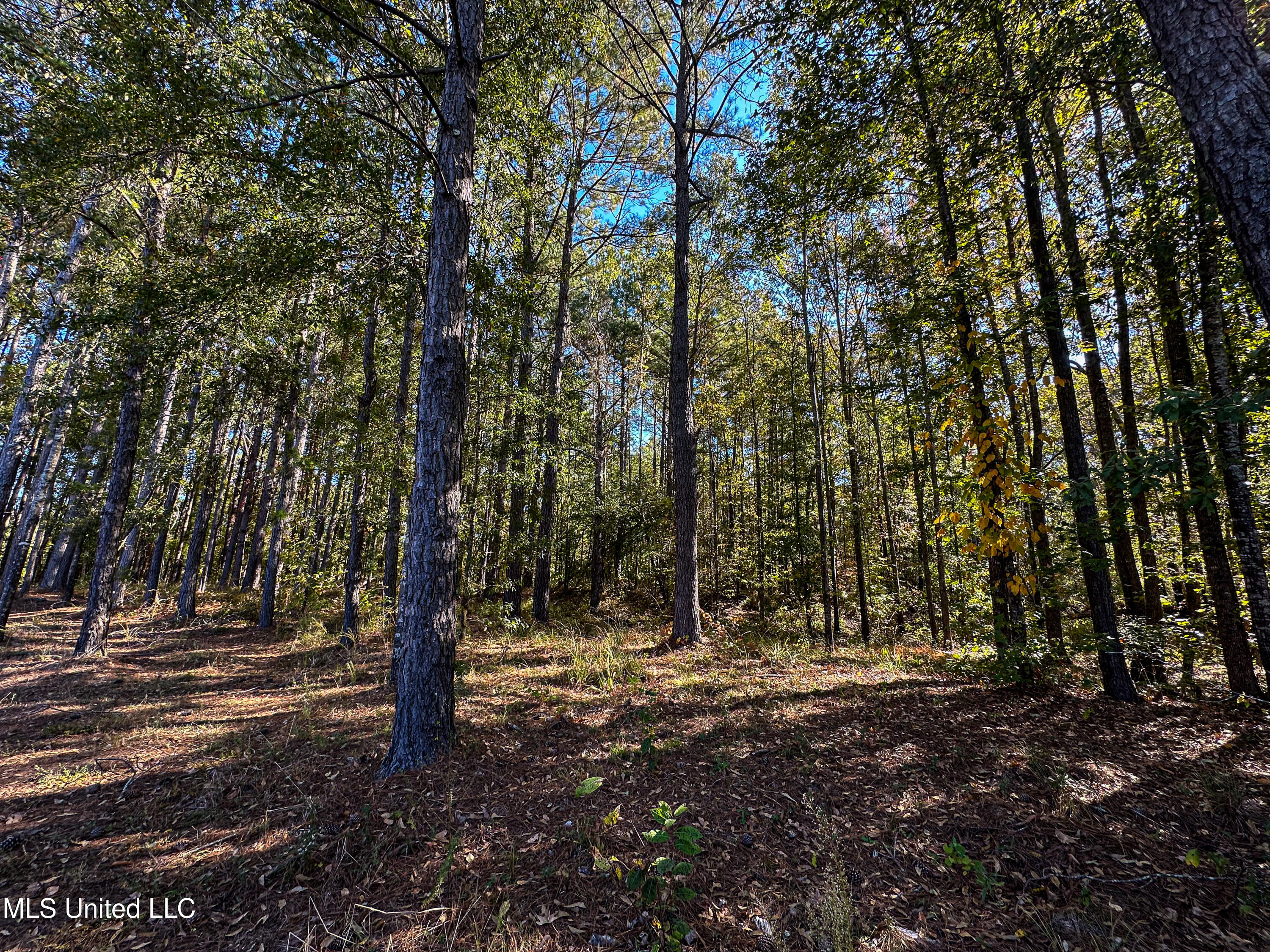 106 Crockrell Road Property Photo 81