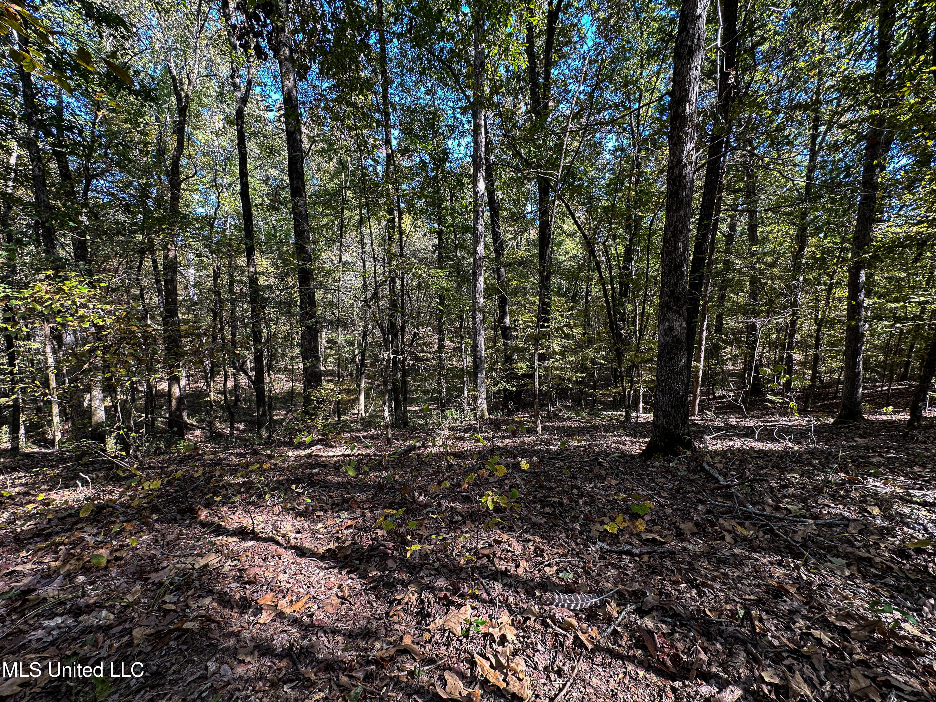 106 Crockrell Road Property Photo 88