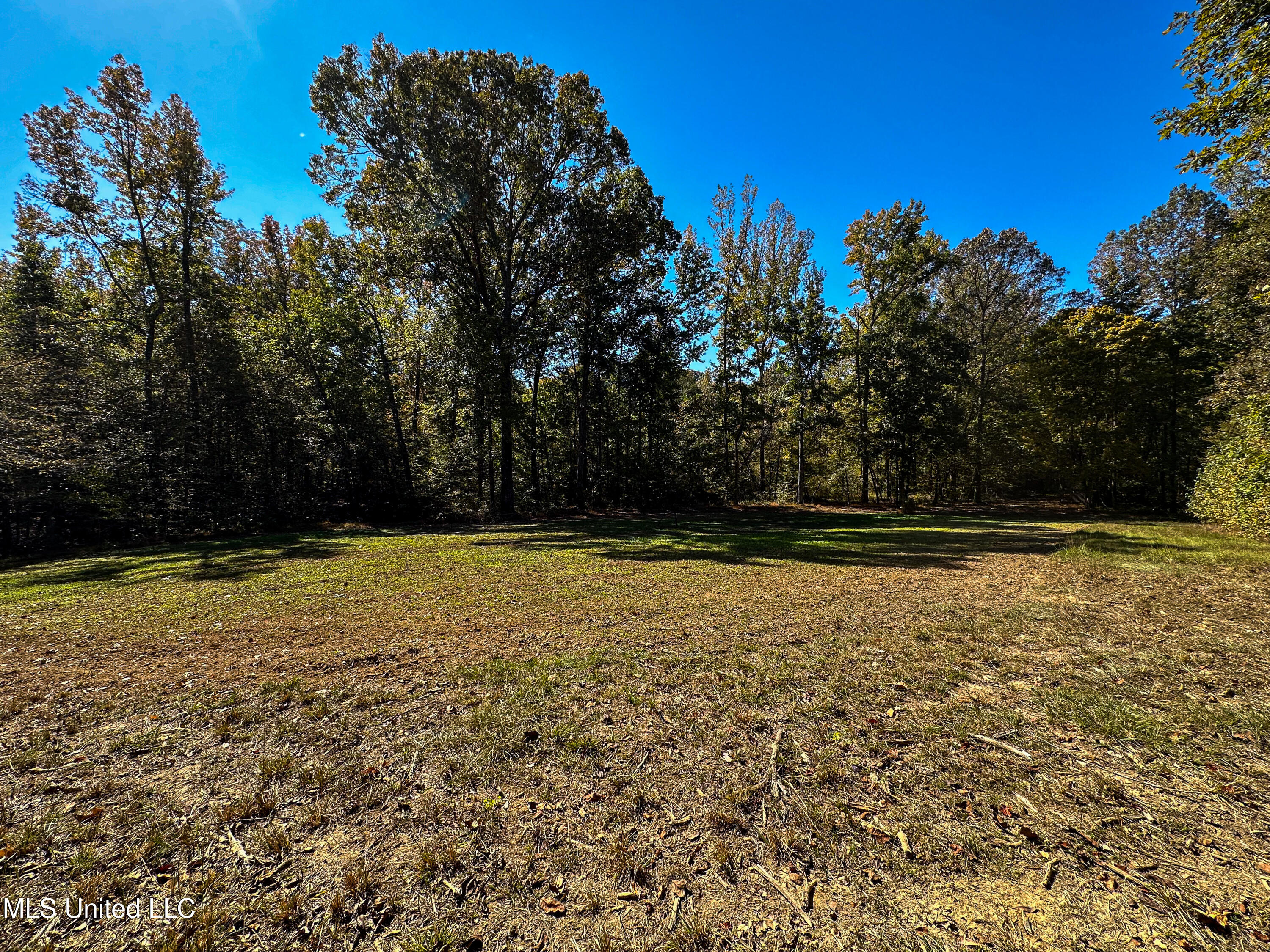 106 Crockrell Road Property Photo 93