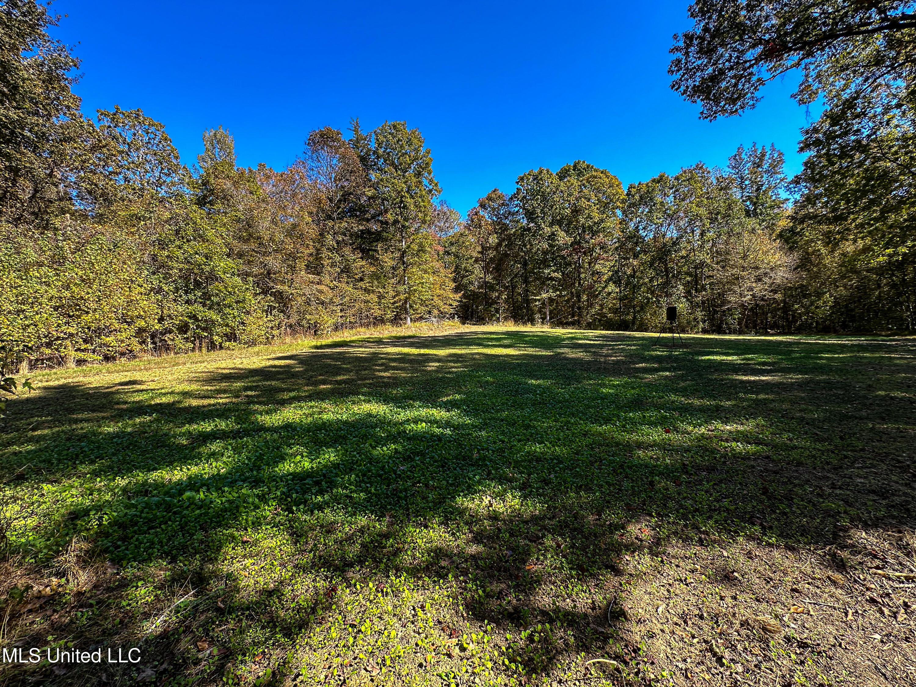 106 Crockrell Road Property Photo 94