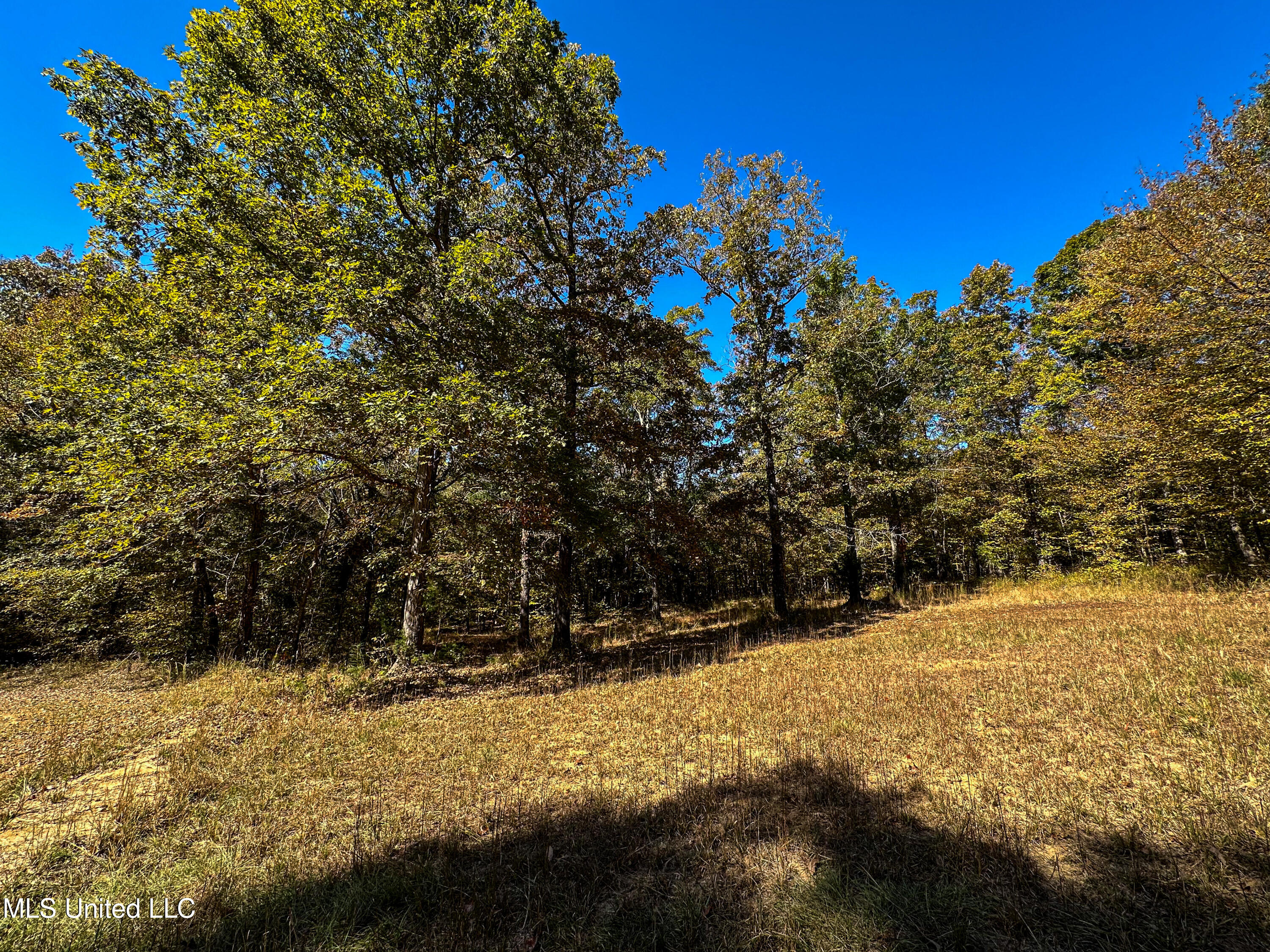 106 Crockrell Road Property Photo 105