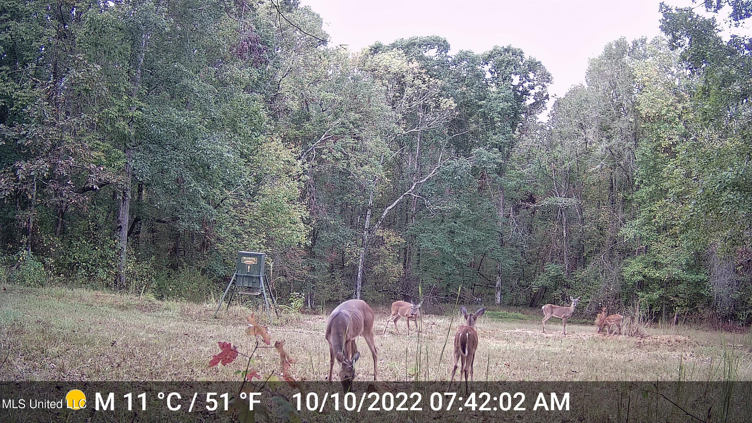 106 Crockrell Road Property Photo 118