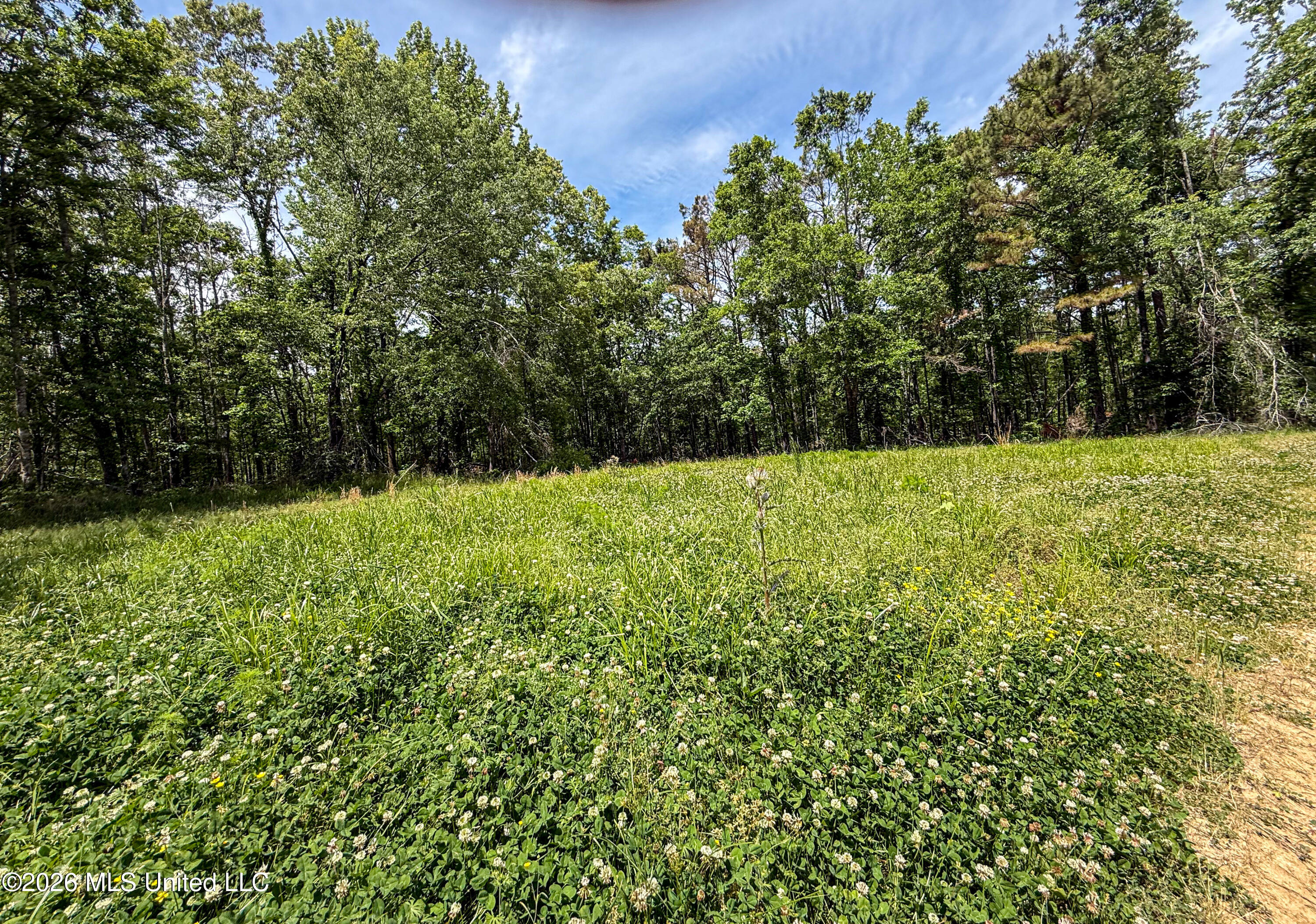 106 Crockrell Road Property Photo 156