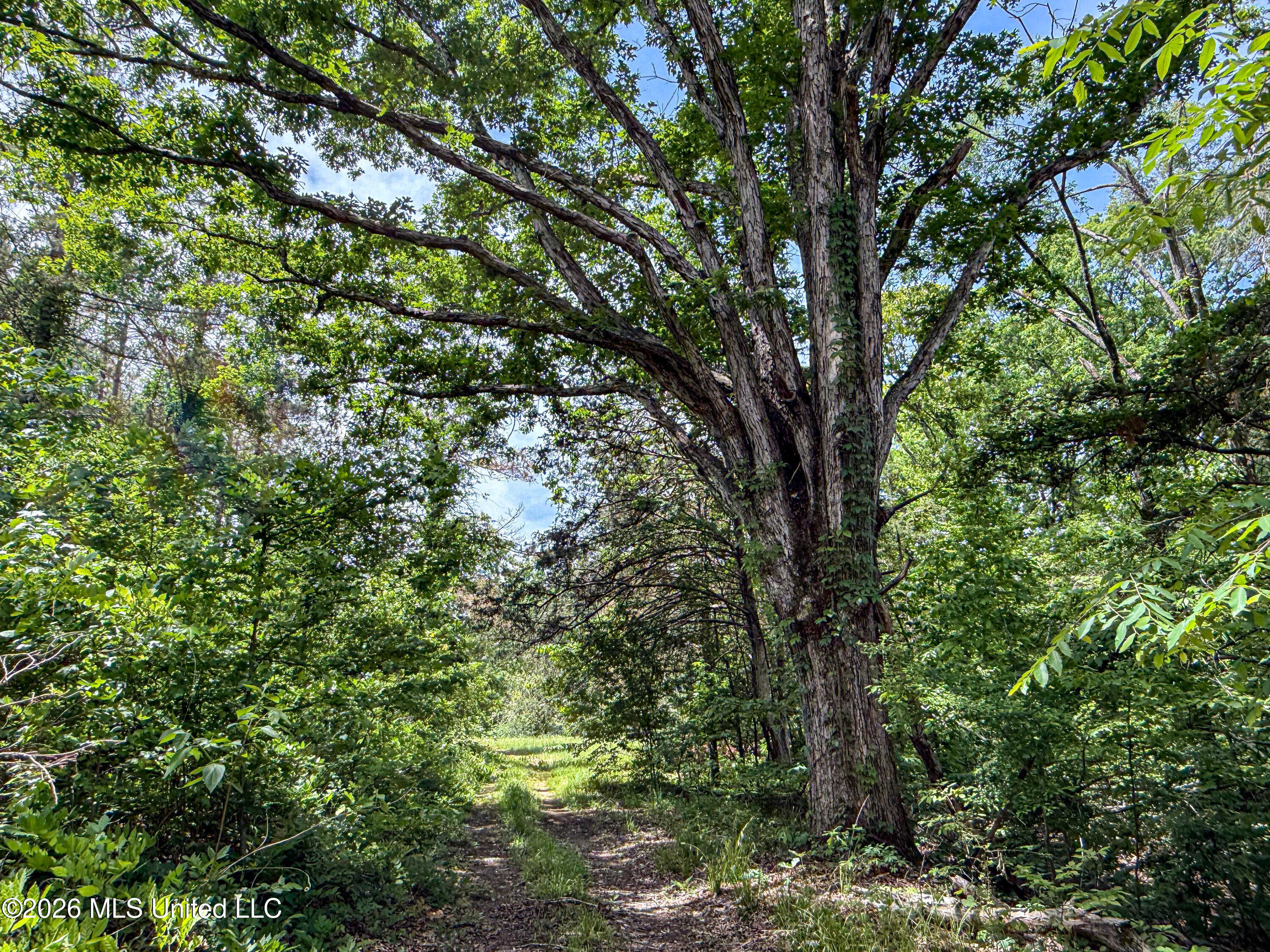 106 Crockrell Road Property Photo 158