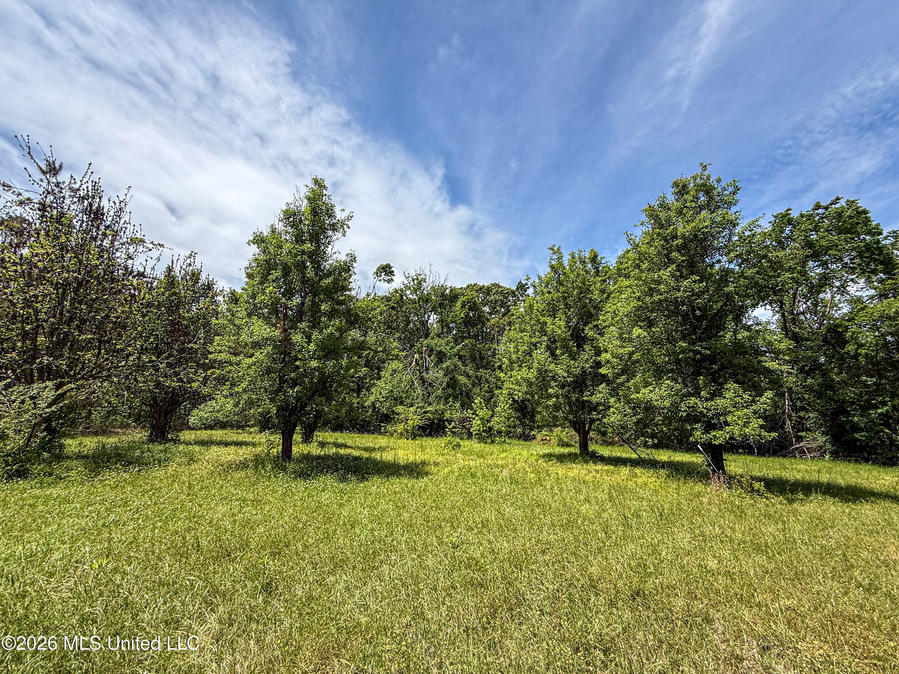 106 Crockrell Road Property Photo 159