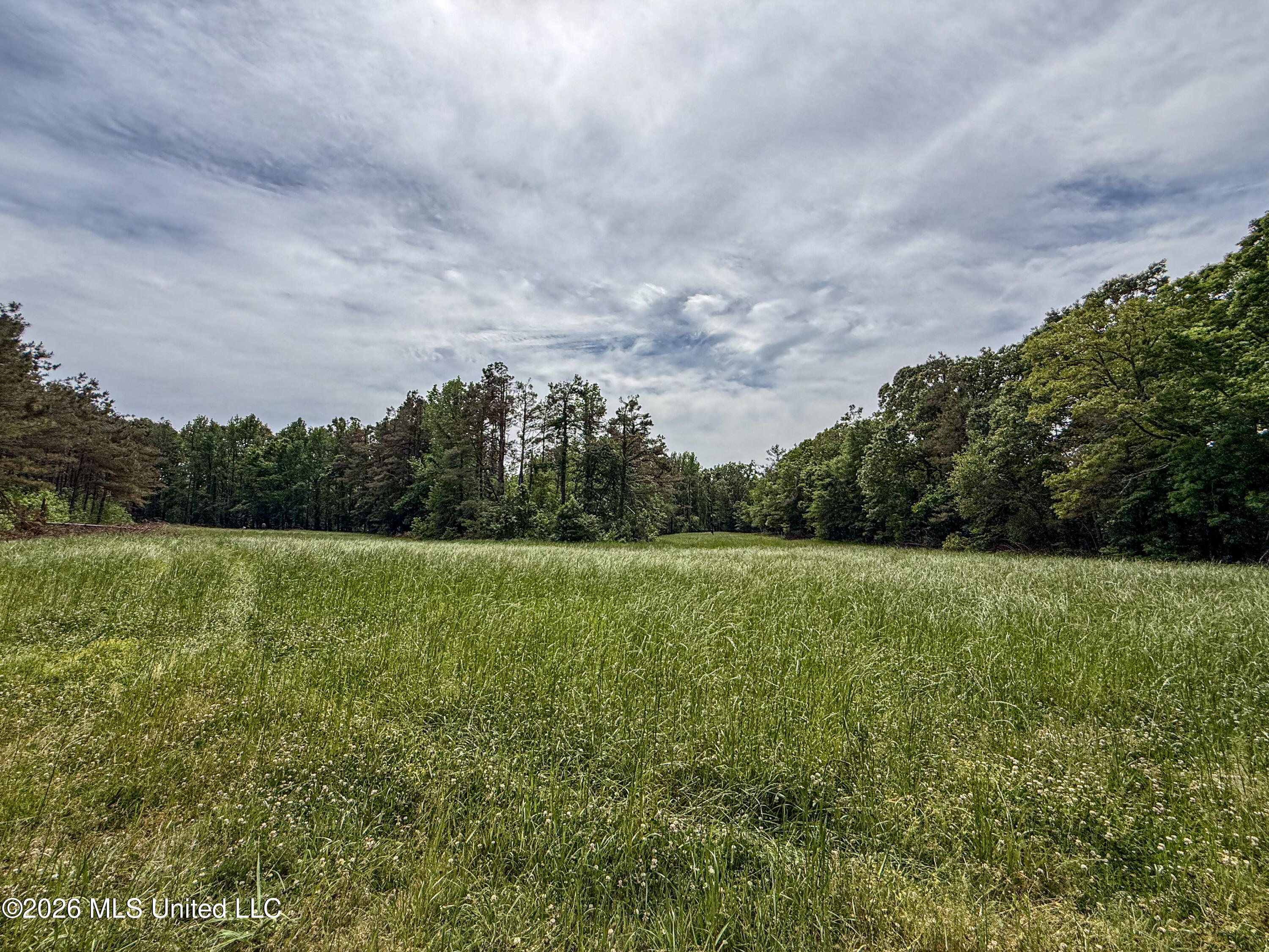 106 Crockrell Road Property Photo 161