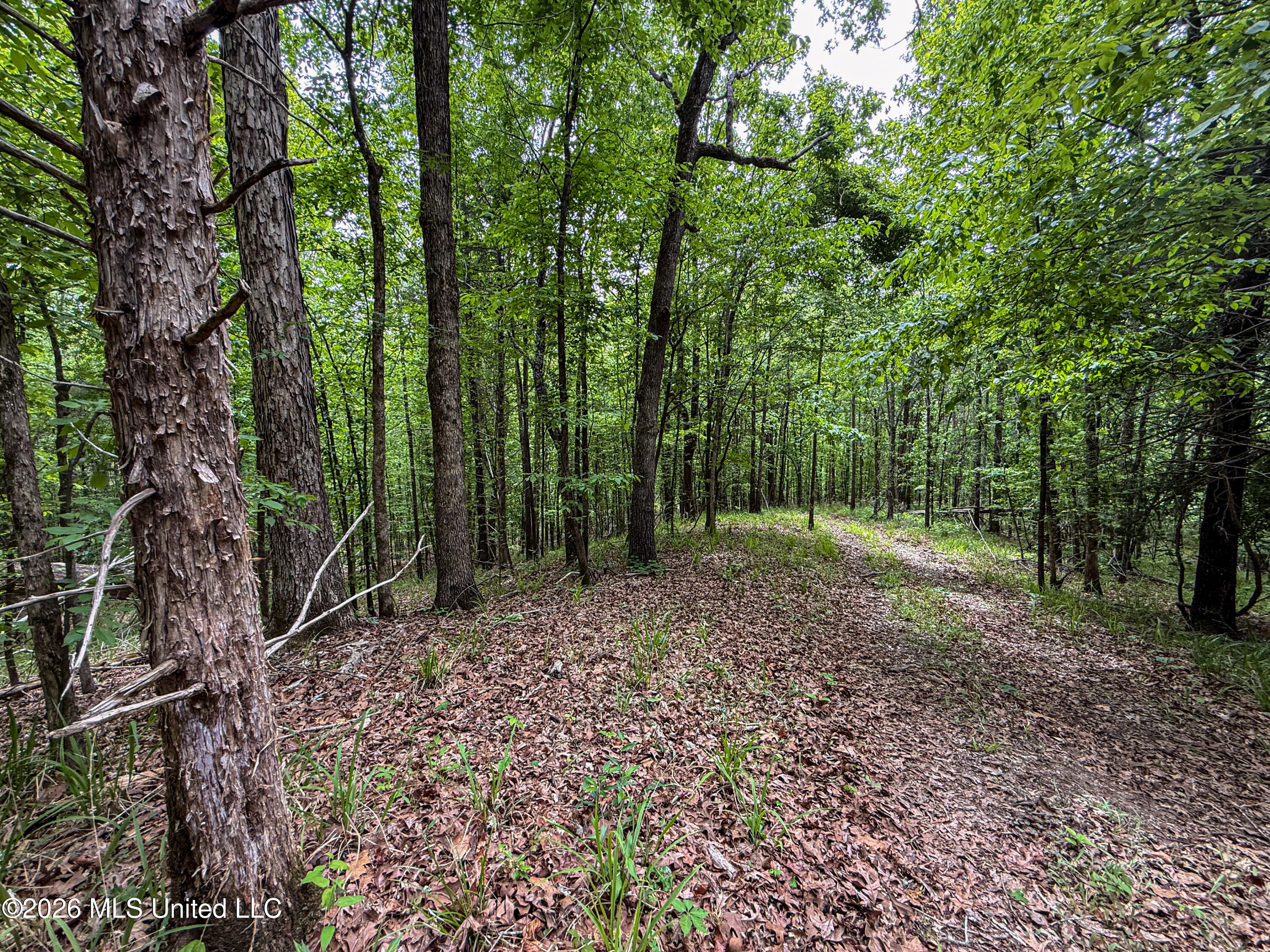 106 Crockrell Road Property Photo 162