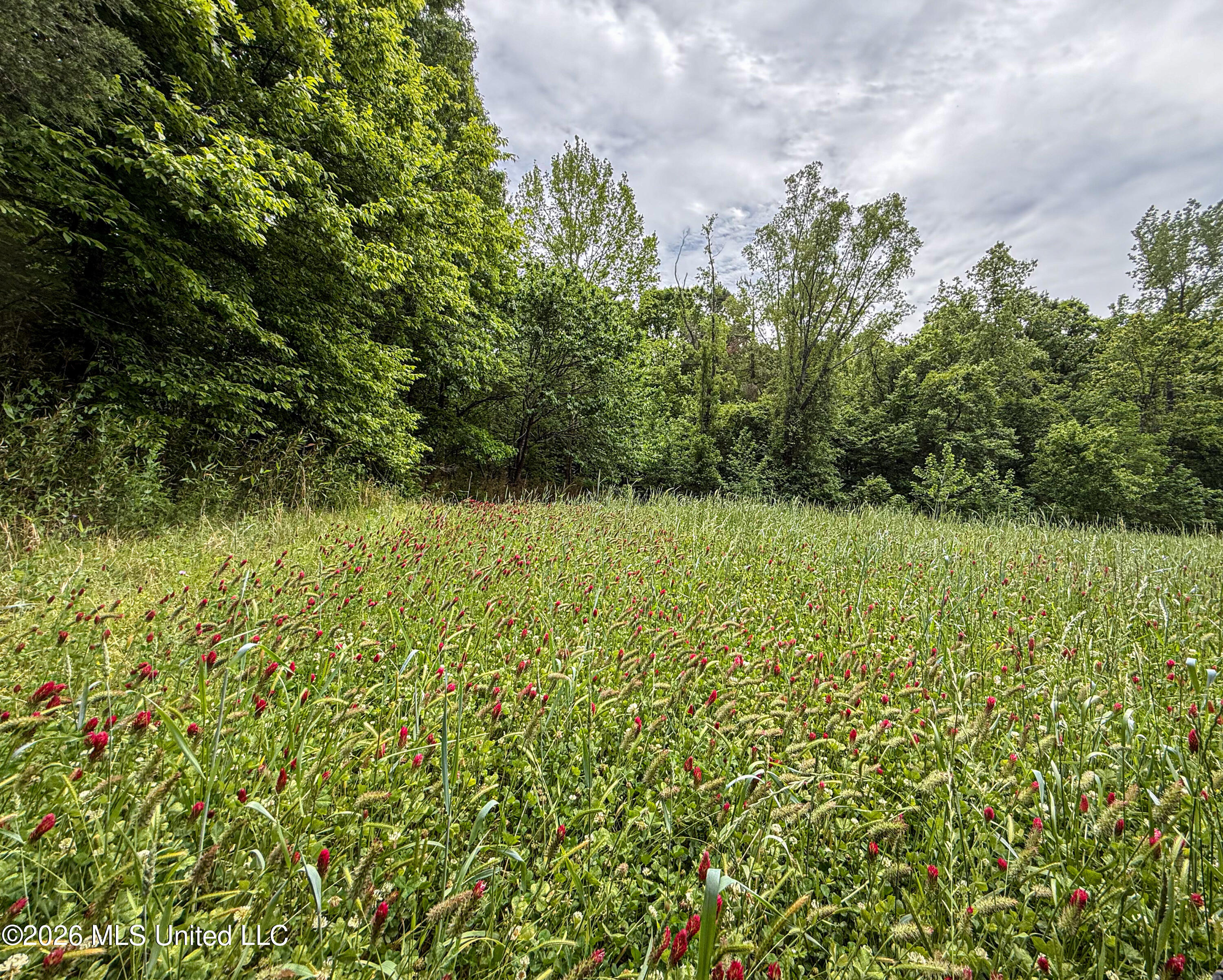 106 Crockrell Road Property Photo 163