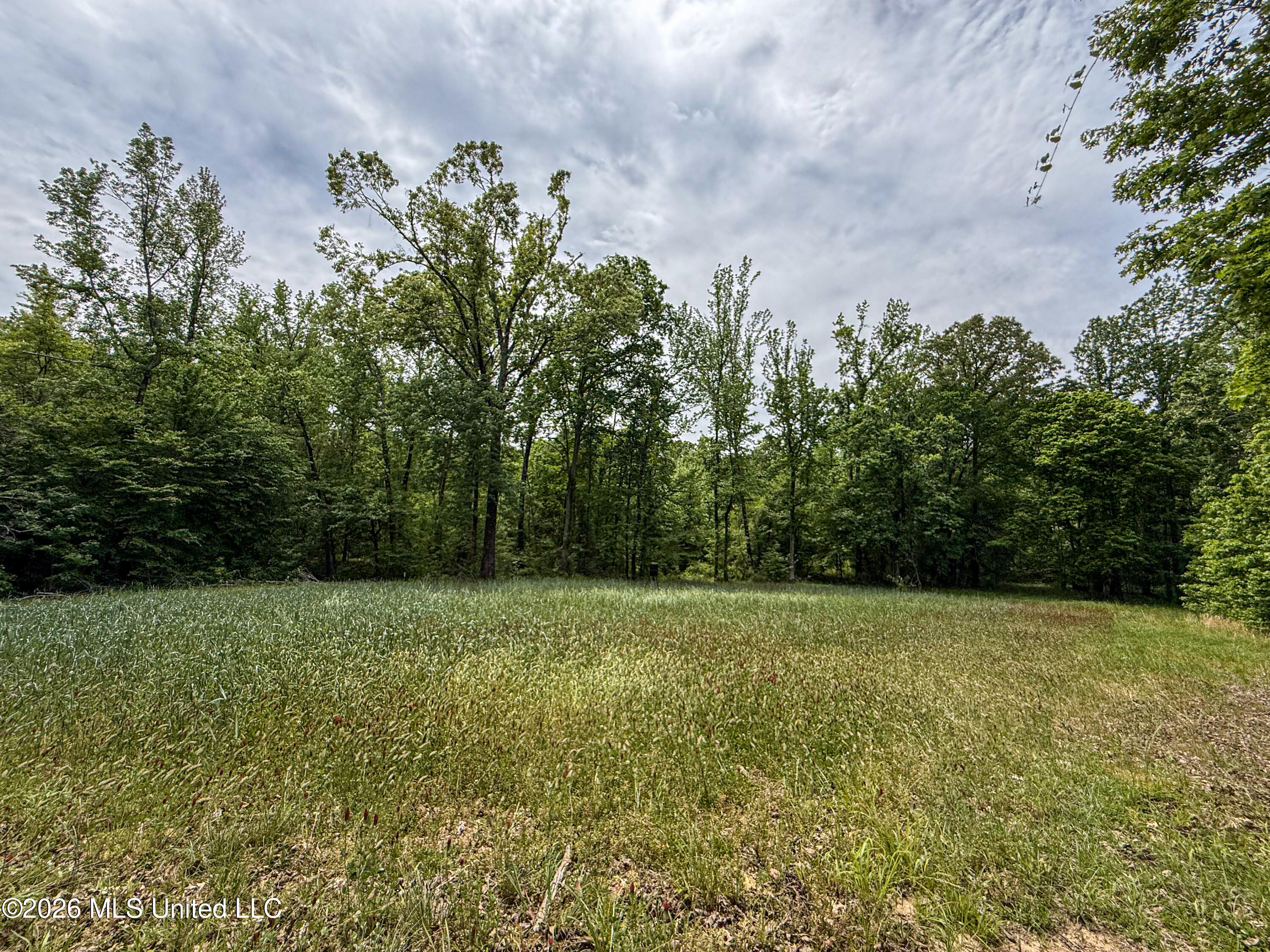 106 Crockrell Road Property Photo 166