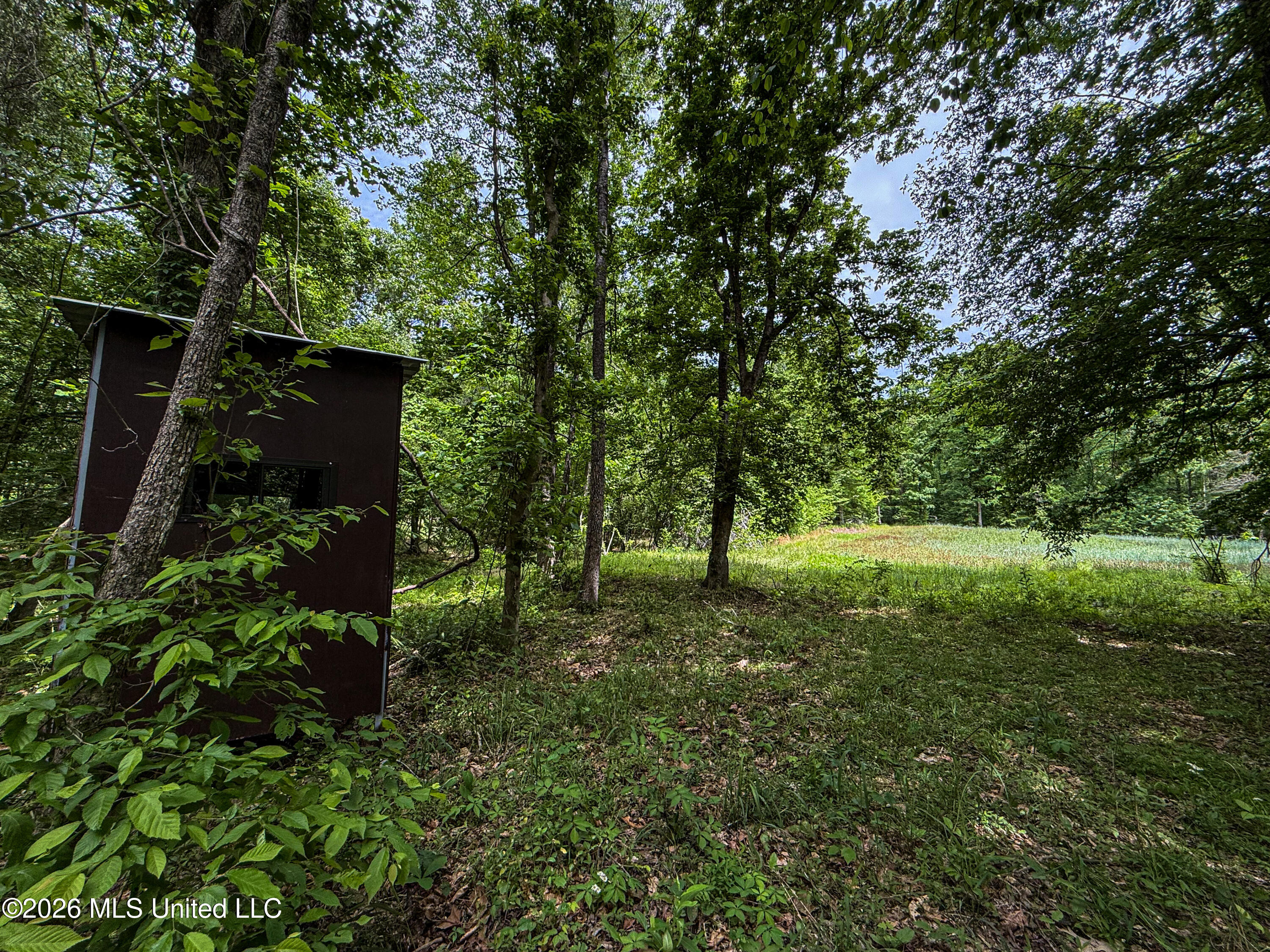 106 Crockrell Road Property Photo 168