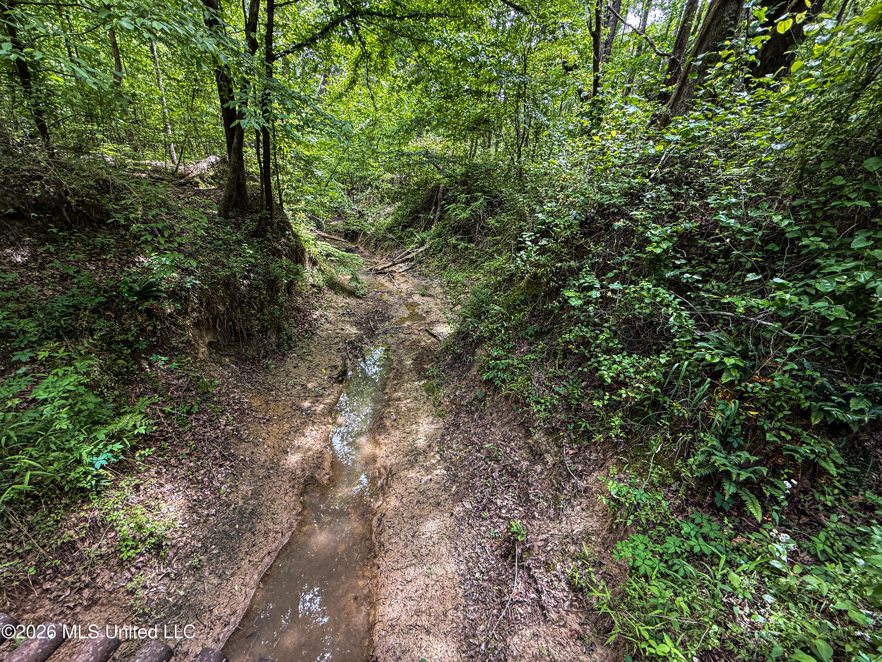 106 Crockrell Road Property Photo 169